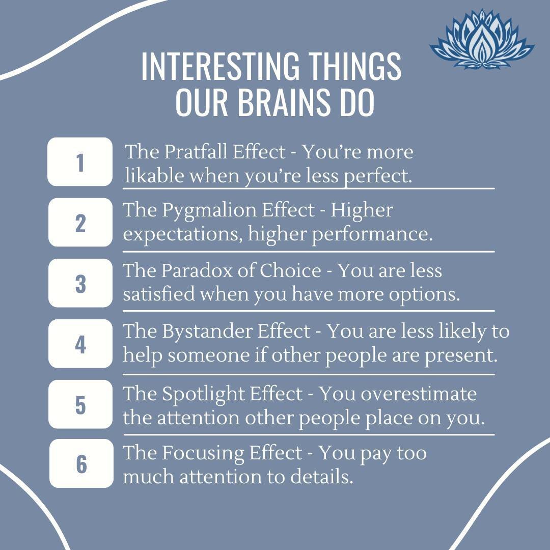 The brain is a fascinating topic. As there are so many different parts and functions, it is not surprising that there are many different phenomena to explore!

Here are 6 of the most interesting things our brains do.

Take a break from the social med