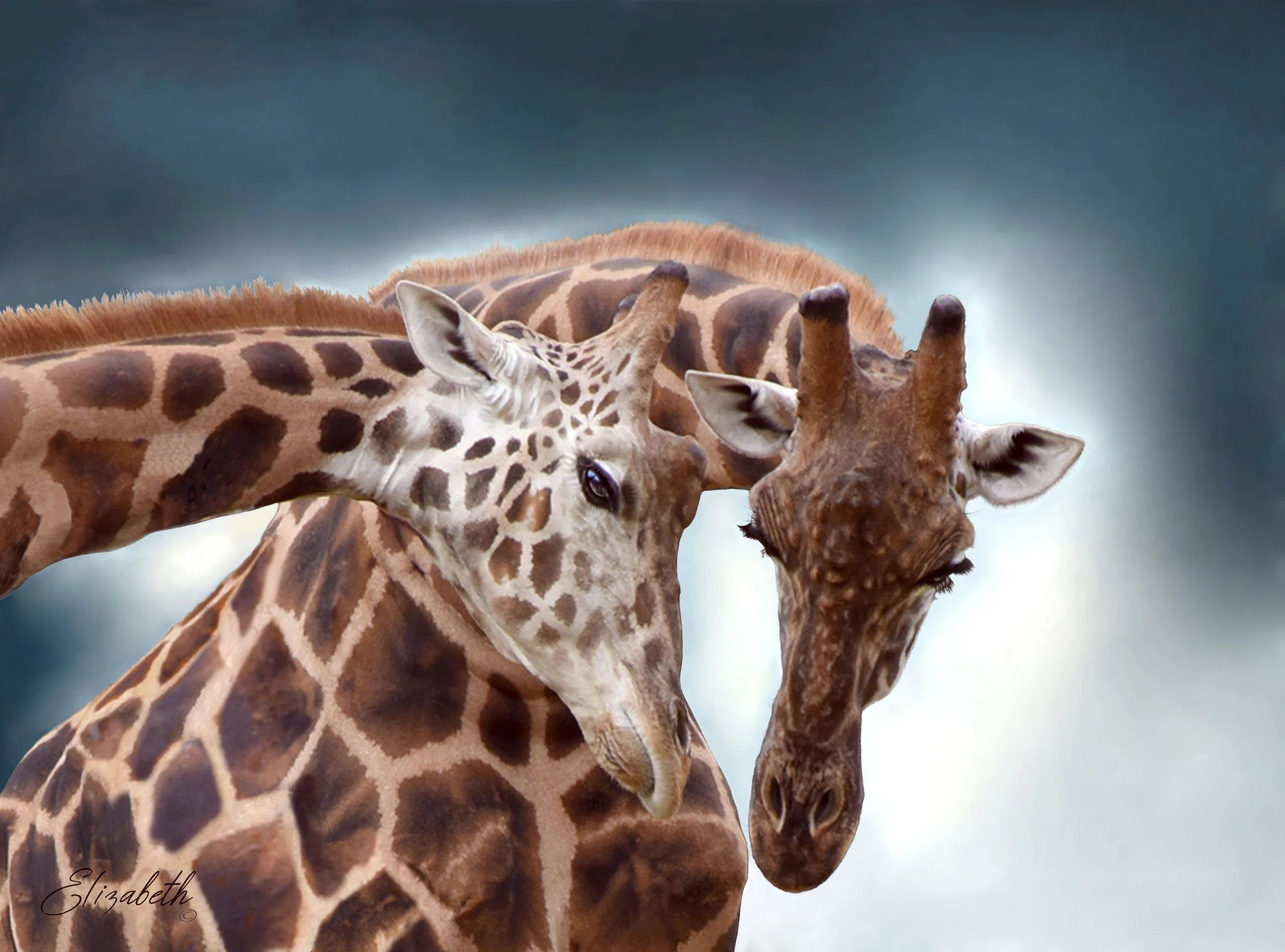 DSC_9709CC CROP 5BB BACKGROUND MERGED 2BB  FINAL FINAL signed web site.jpg