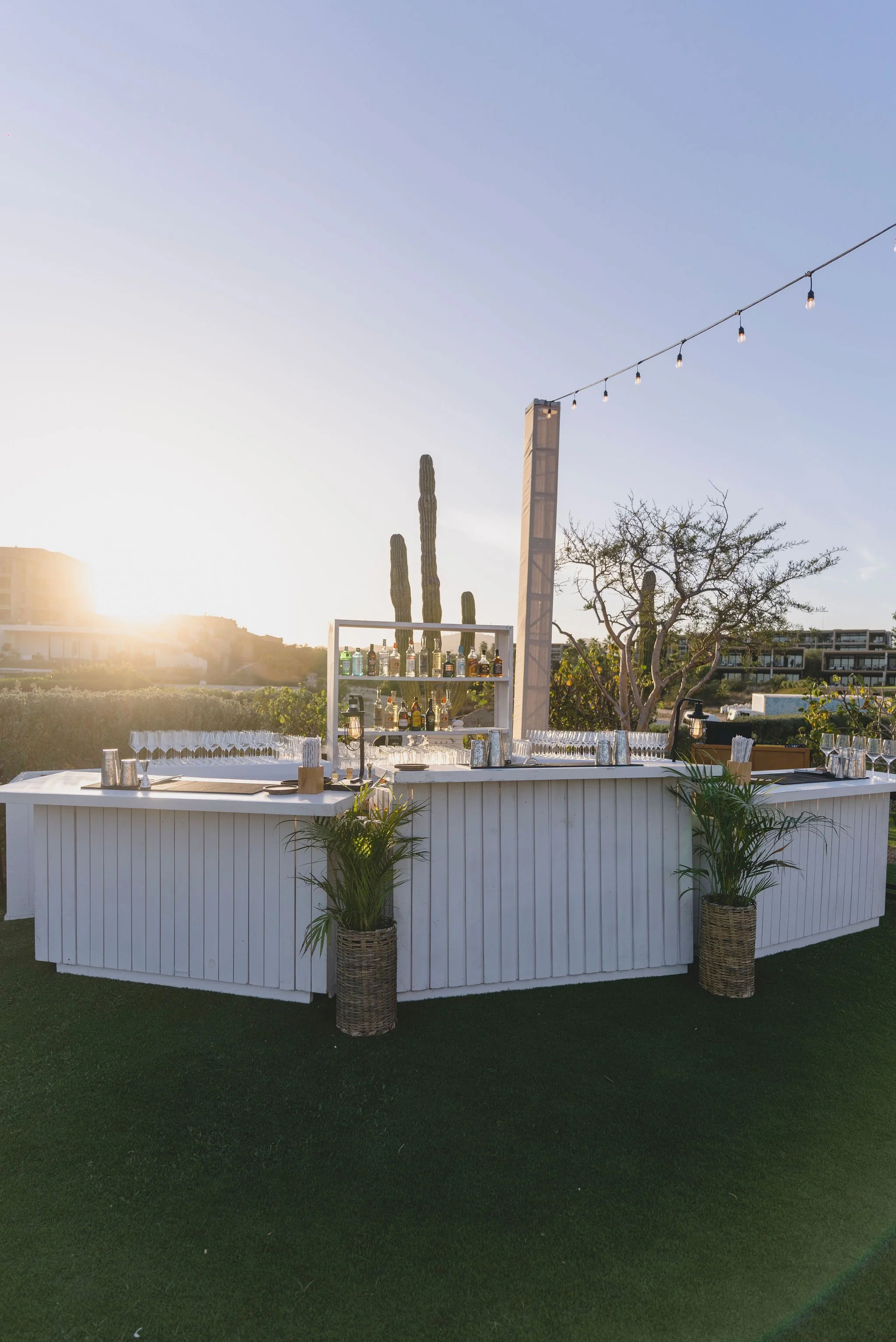 Twin Dolphins Cabo Corporate Events Details Details Wedding Design and Planning 5 (3).jpg