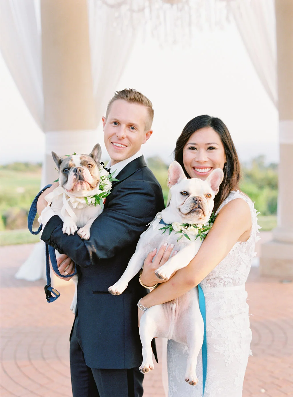 aboutdetailsdetails | OCweddingplanner | family portrait | dogs | pelican hill | beach | outdoor ceremony | bride and groom |