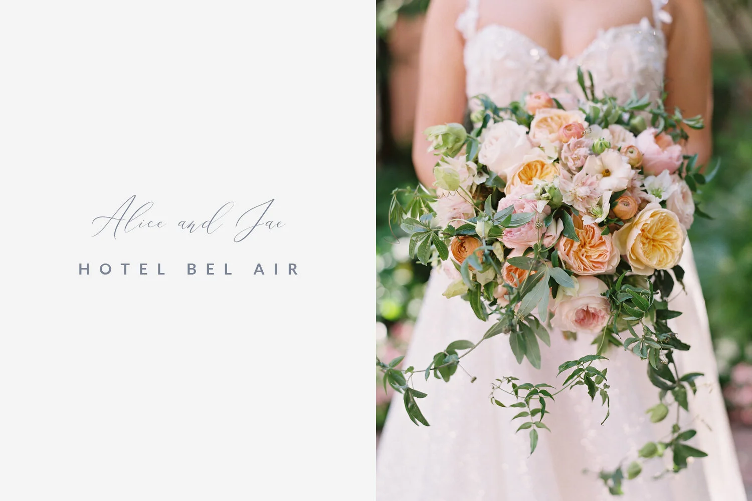 portfolio_details_details_ALICE_JAE.jpg