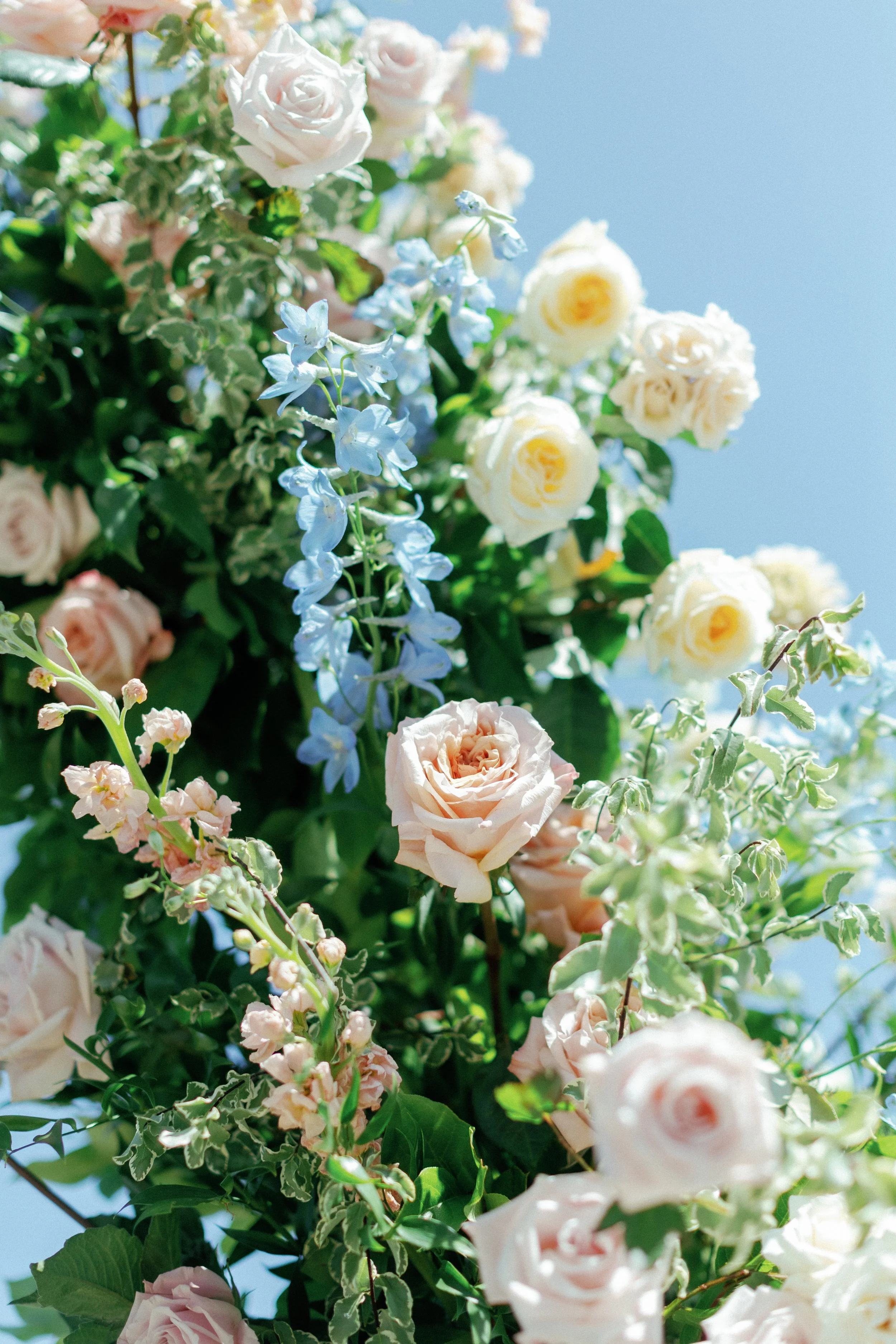 Ceremony_020.jpg