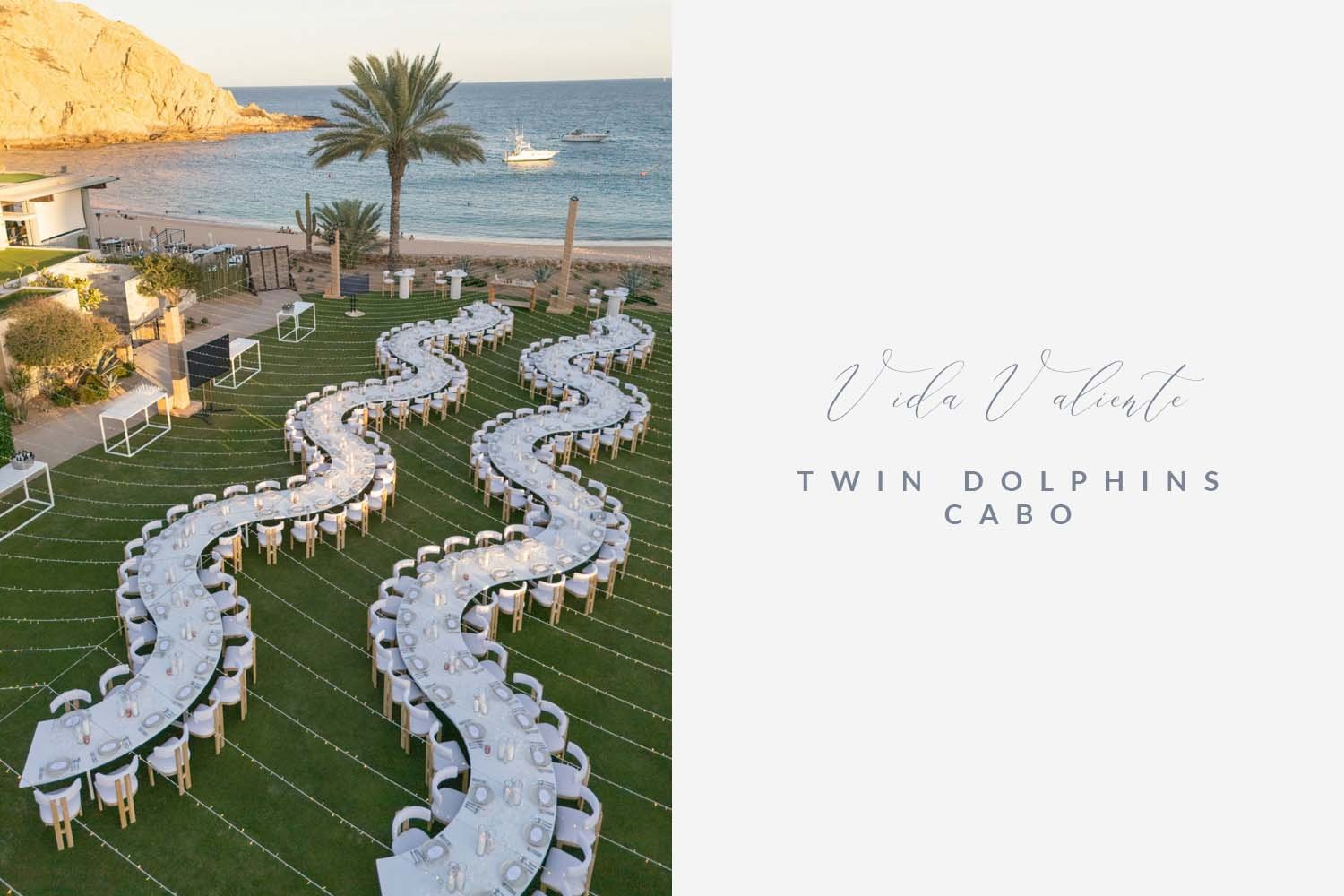 __TWO DOLPHINES CABO.jpg