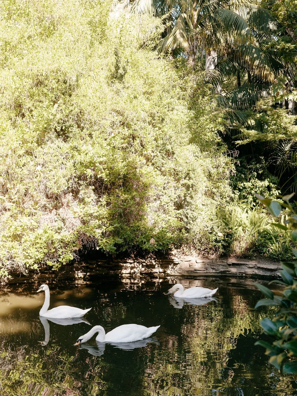 Hotel Bel Air Wedding Planner Details Details 0 (2).jpg