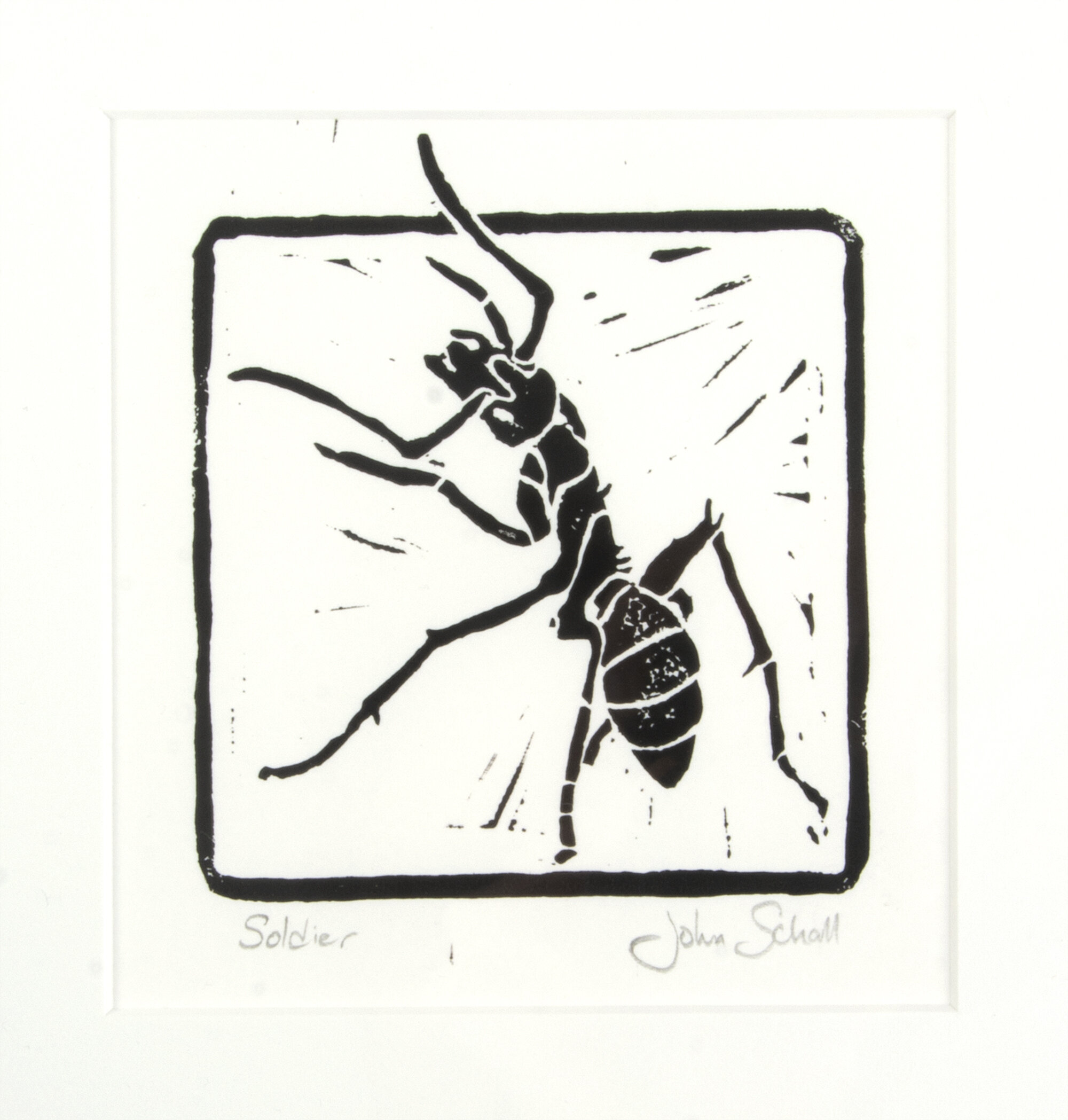 Soldier.jpg