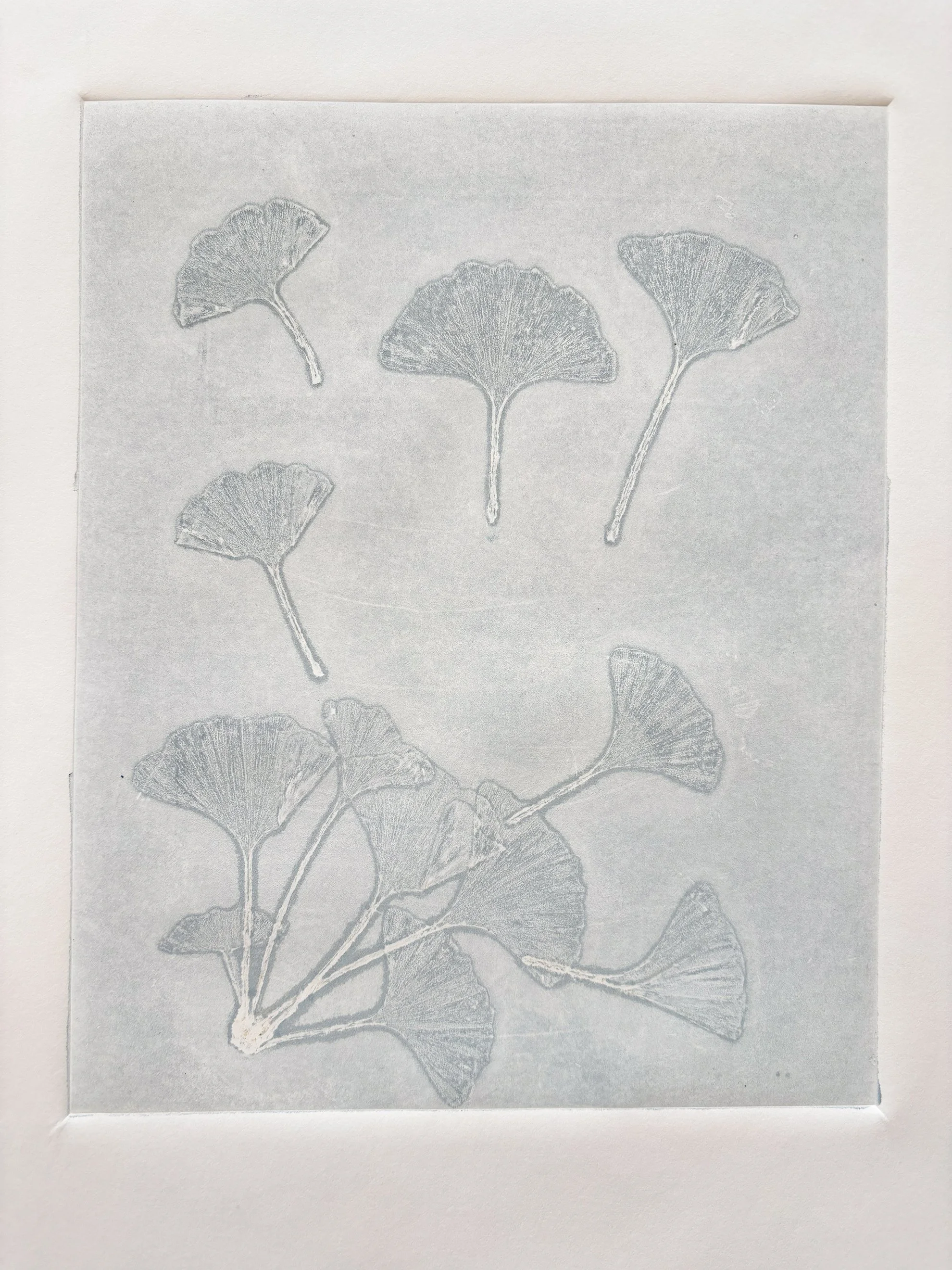 3_JSchall_Ginko Frost.jpg