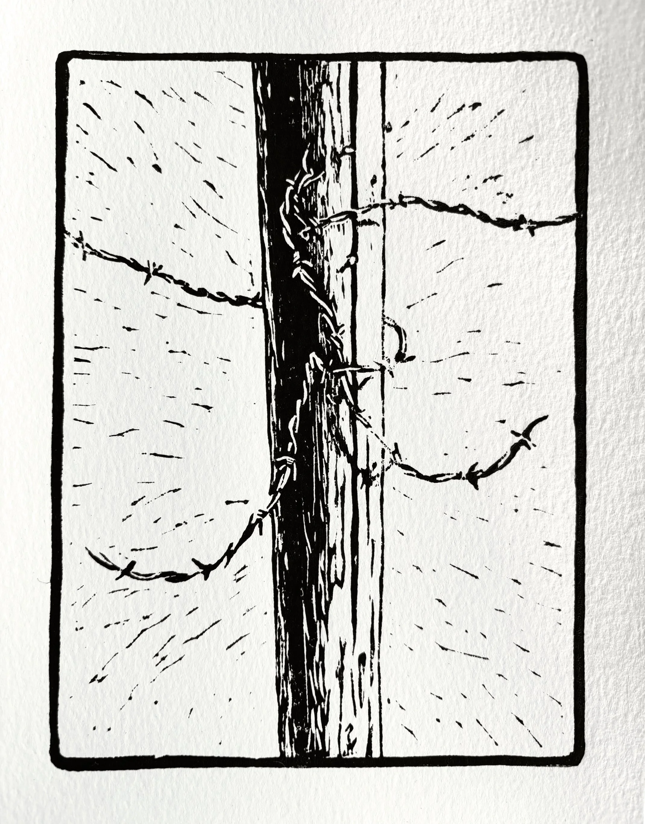 Barbed Wire copy.jpg