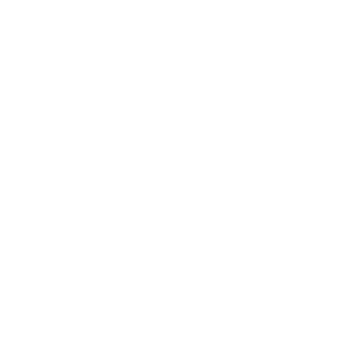 Nina K