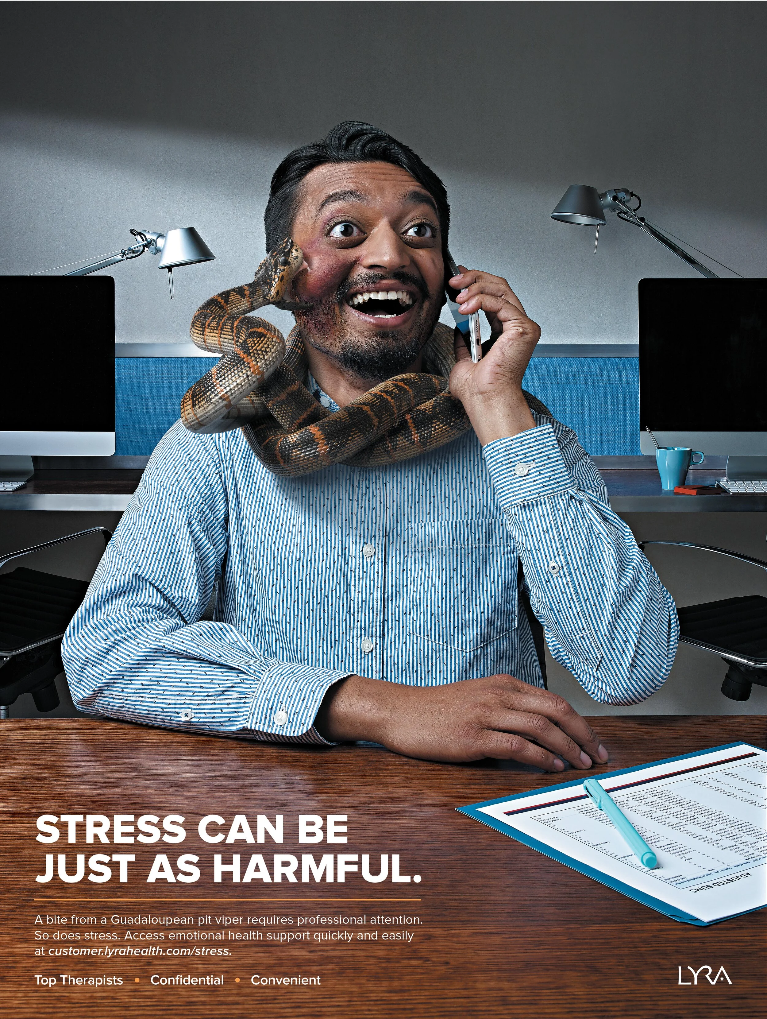 LH564-004_Lyra Launch_Snake_Poster_30x40_CUSTOMER_PROD-01.jpg