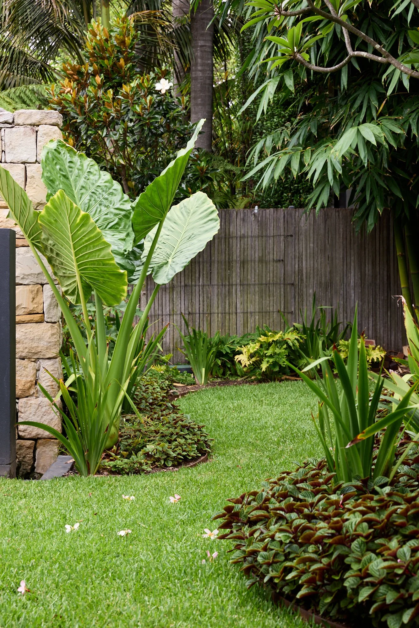 Graded 260114_H&G_NateWhite_62LangRd_Garden_36.jpg