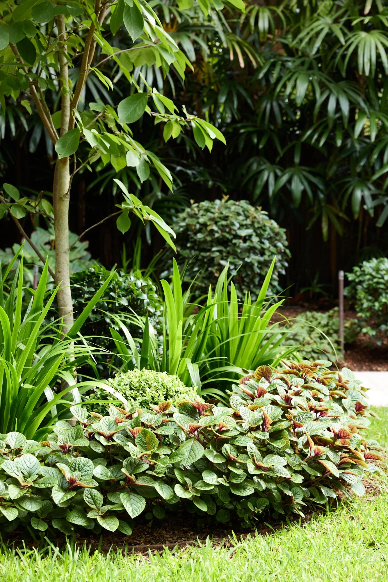 GHraded - 260114_H&G_NateWhite_62LangRd_Garden_29.jpg