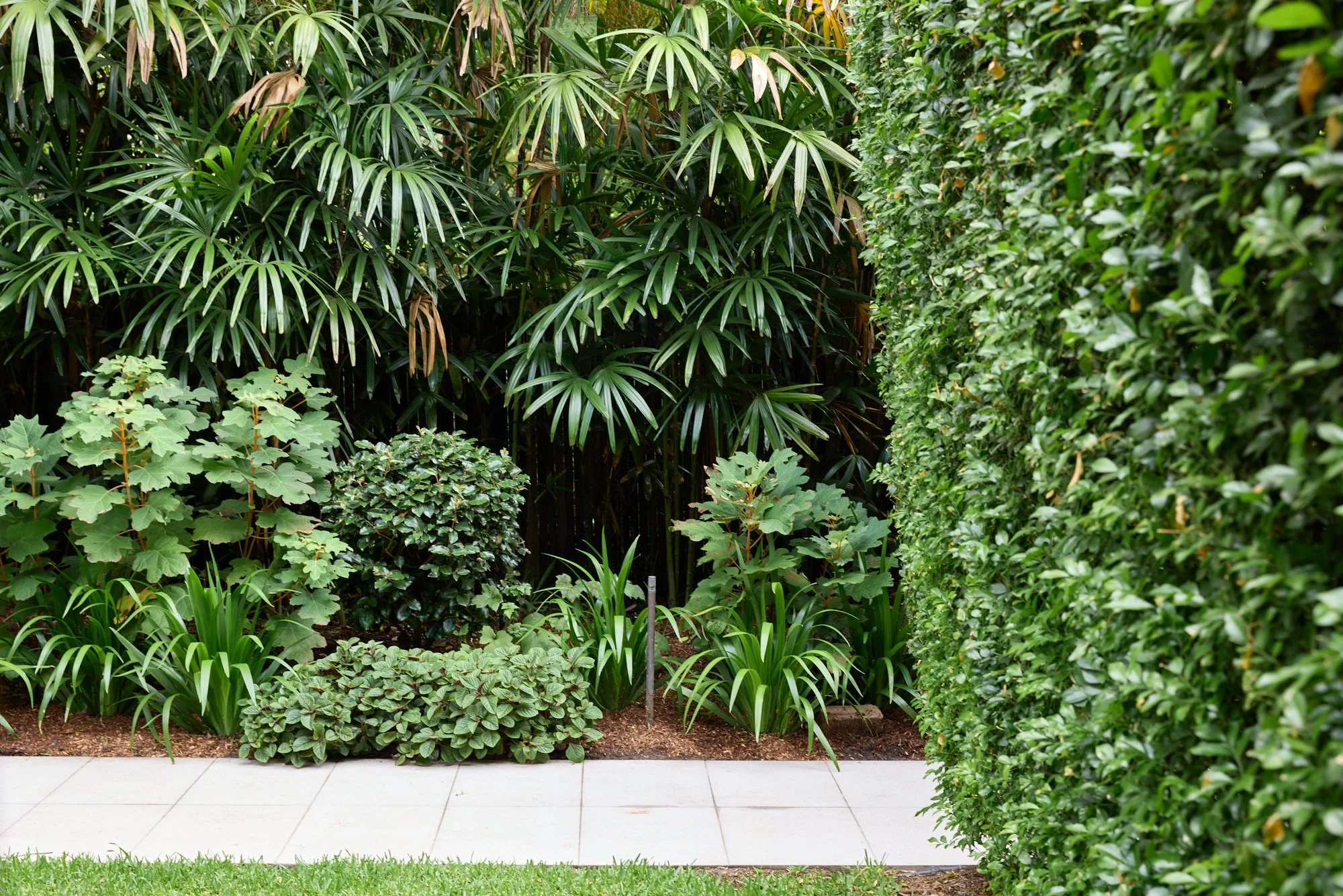 Graded - 260114_H&G_NateWhite_62LangRd_Garden_26.jpg
