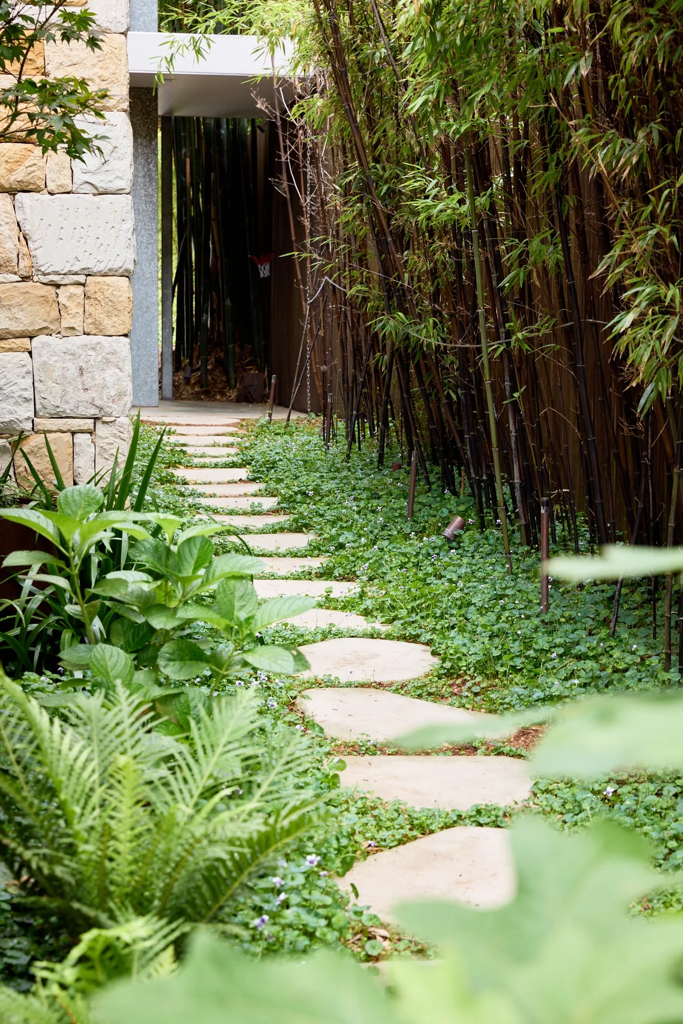 Graded 260114_H&G_NateWhite_62LangRd_Garden_42.jpg