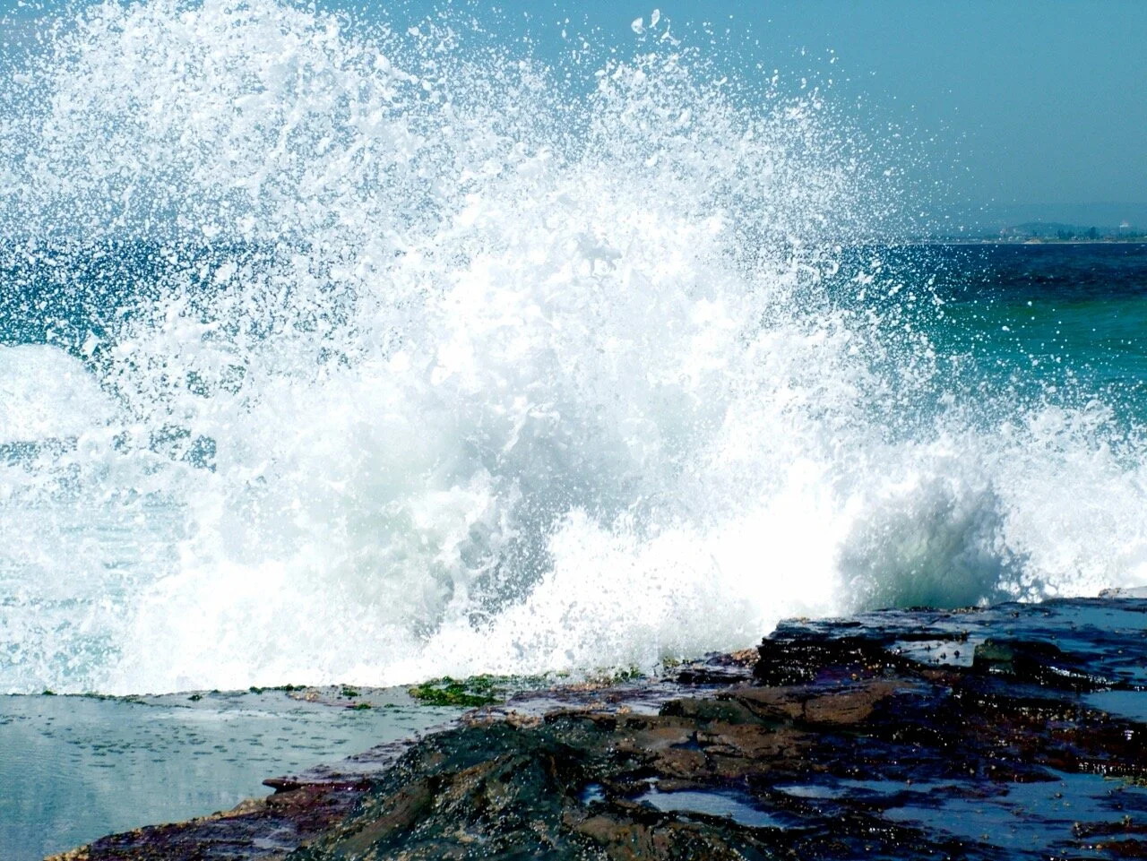 All That We Have Ever Dreamed by Cindy L Spear and Iona