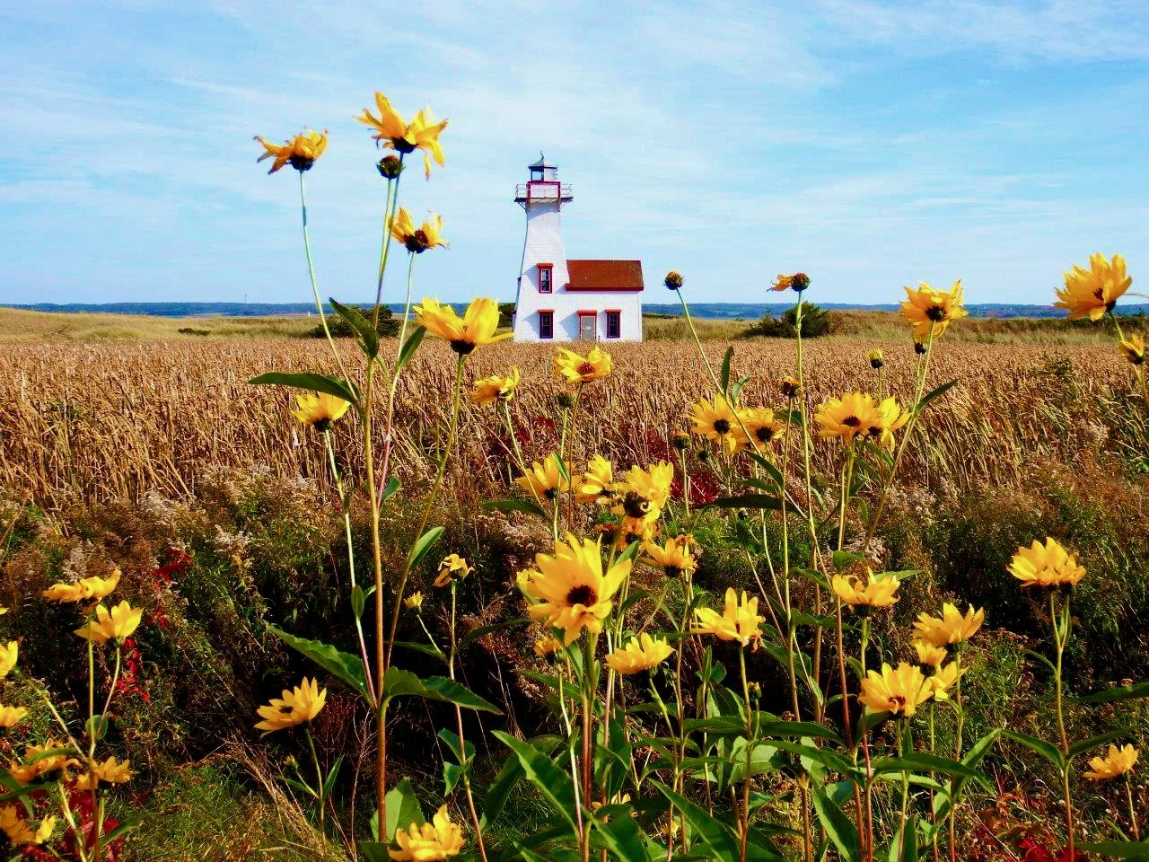 PEI song by Cindy L Spear &amp; Colin Mold
