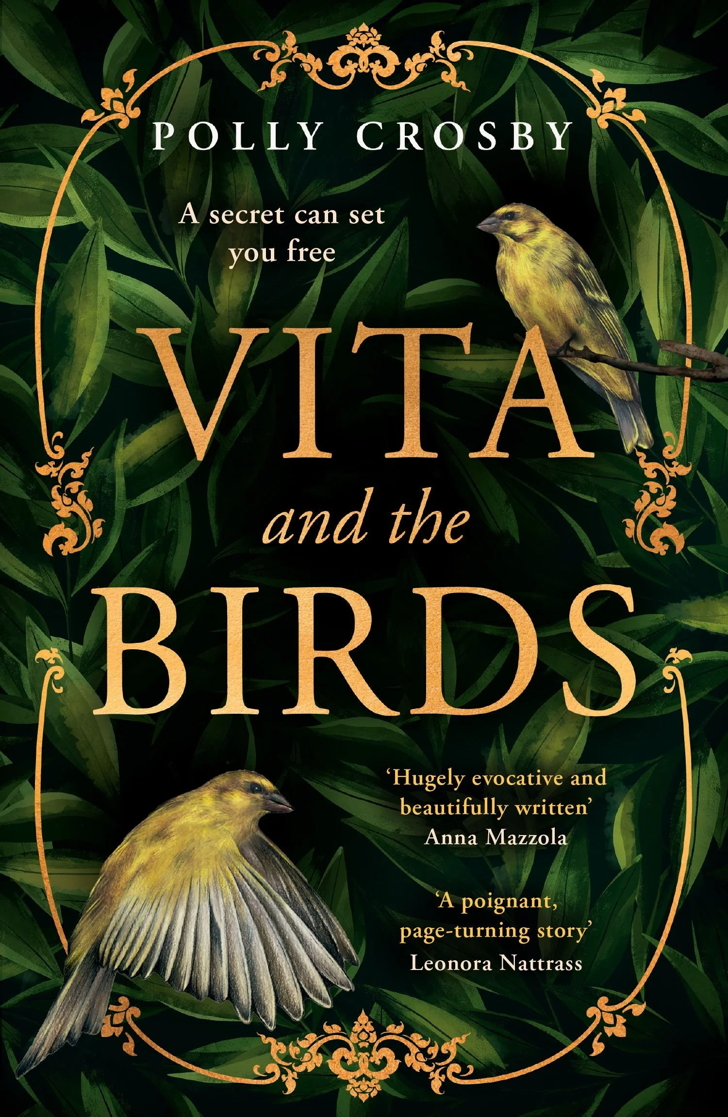Review of 'Vita and the Birds' by Polly  Crosby