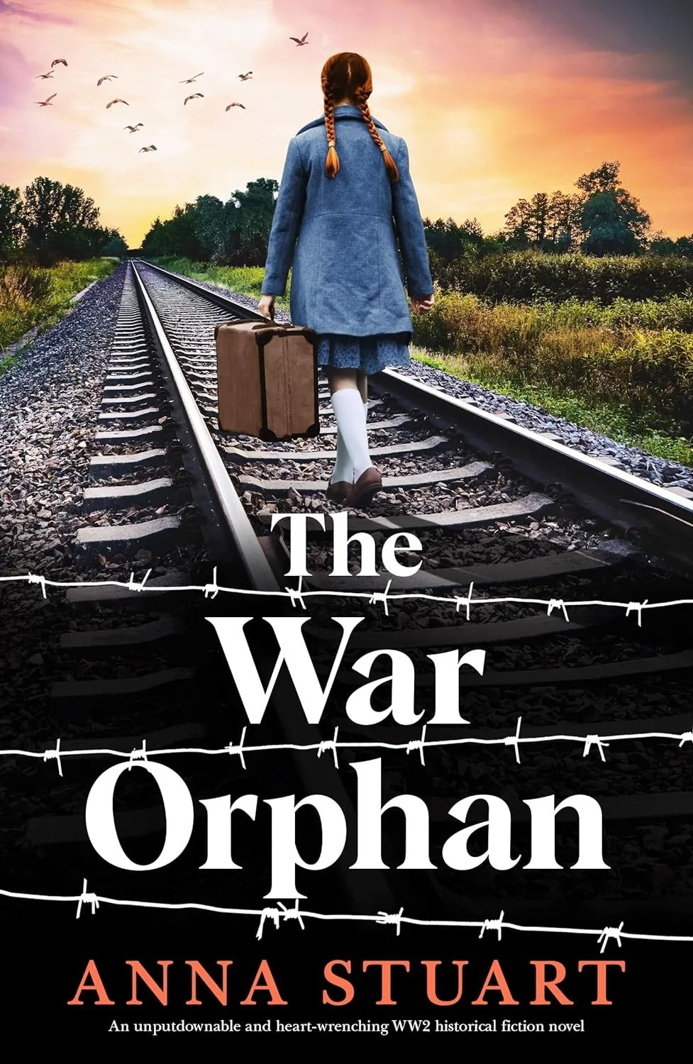 Review of 'The War Orphan' by Author Anna Stuart