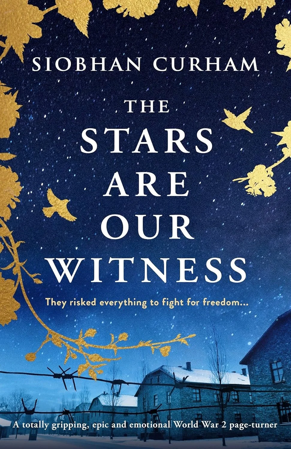 Review of 'The Stars Are Our Witness' by Siobhan Curham