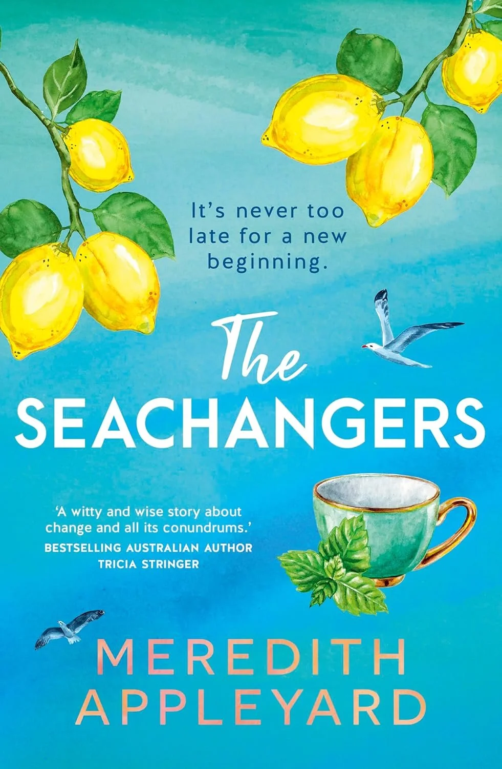 Review of 'The Seachangers' by Meredith Appleyard