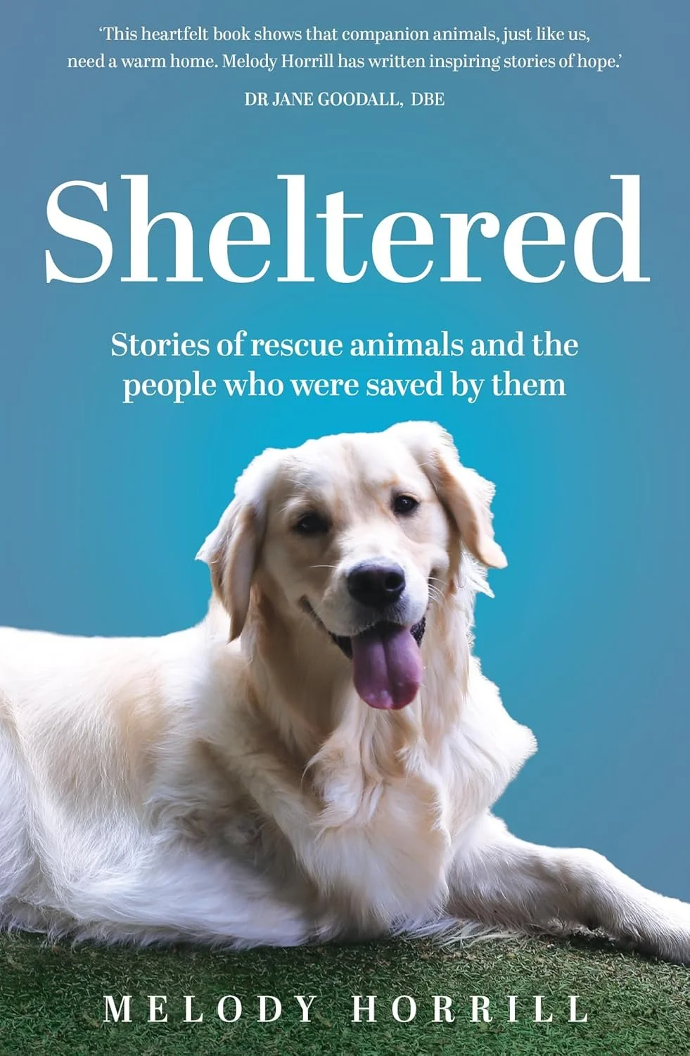Review of 'Sheltered' by Melody Horrill