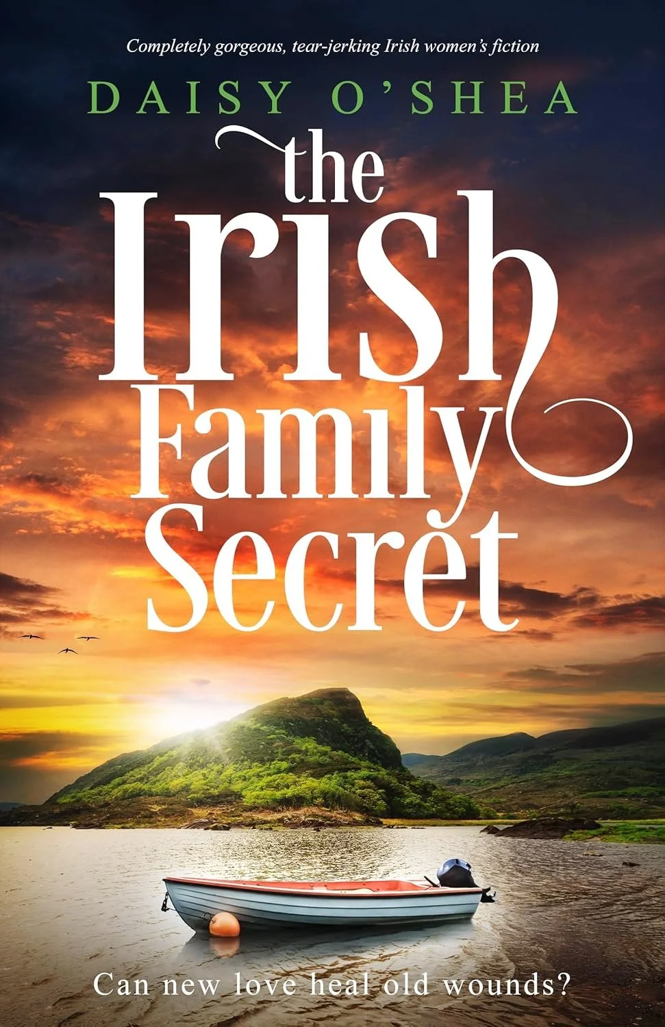 Review of 'The Irish Family Secret' By Daisy O'Shea