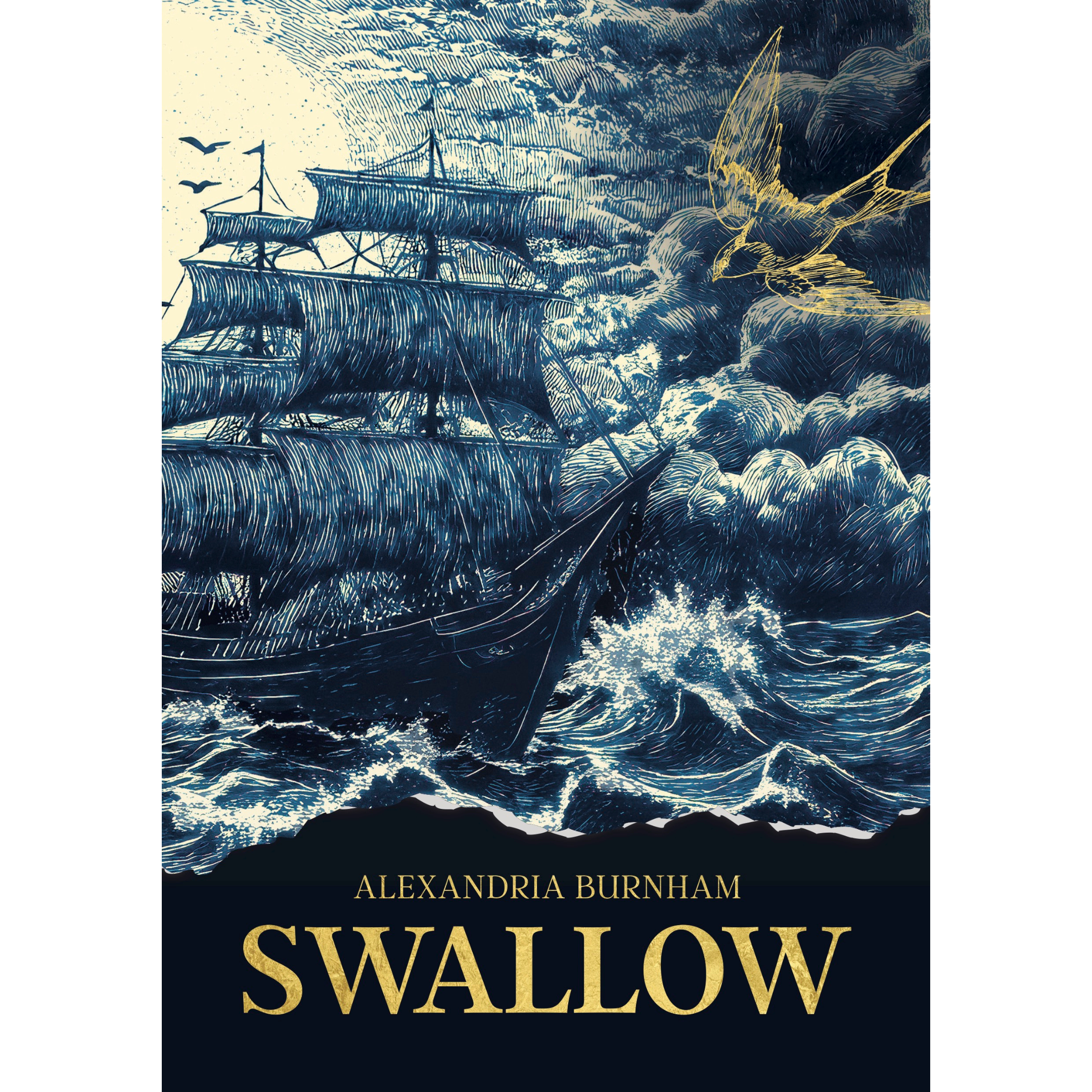 Review of 'Swallow' by Alexandria Burnham
