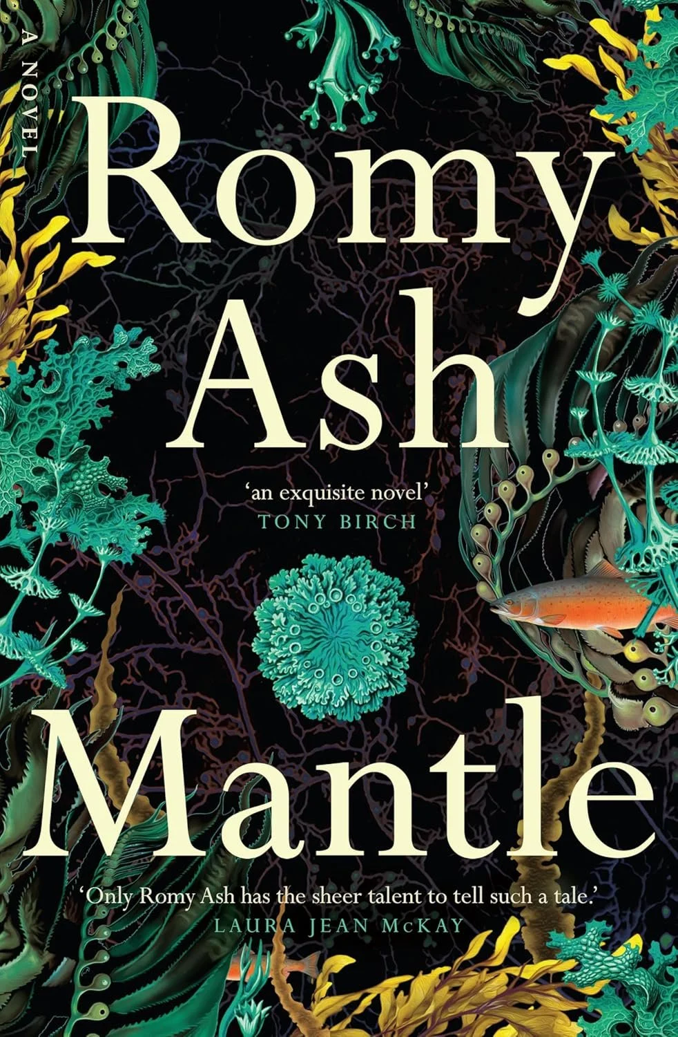 Review of 'Mantle' by Romy Ash
