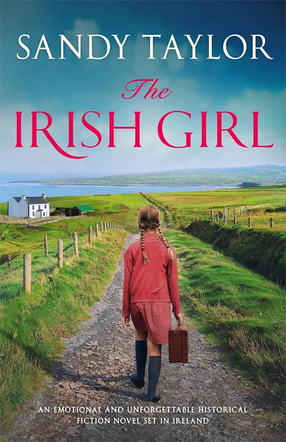Review of 'The Irish Girl' by Sandy Taylor