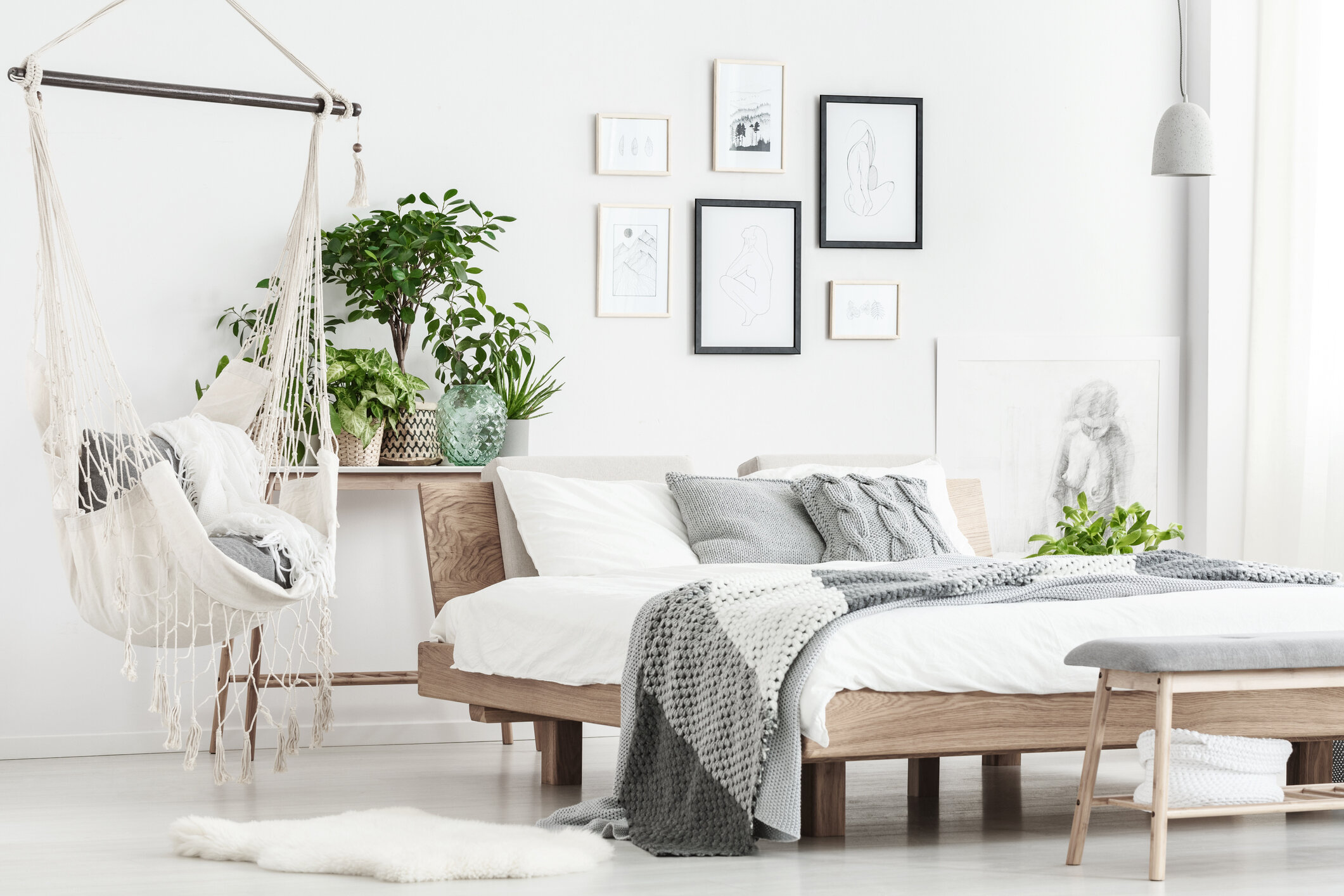 iStock-904377554.jpg