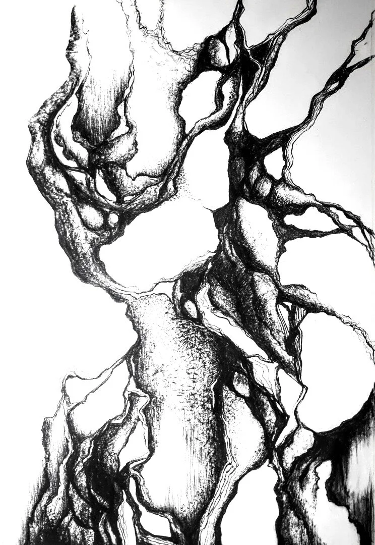 'hidden worlds 6'   42x60cm