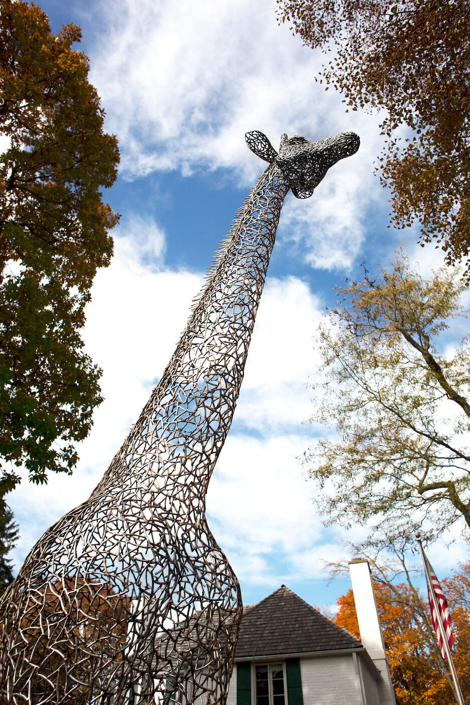 Shaughnessy_Giraffe04.jpg.jpg