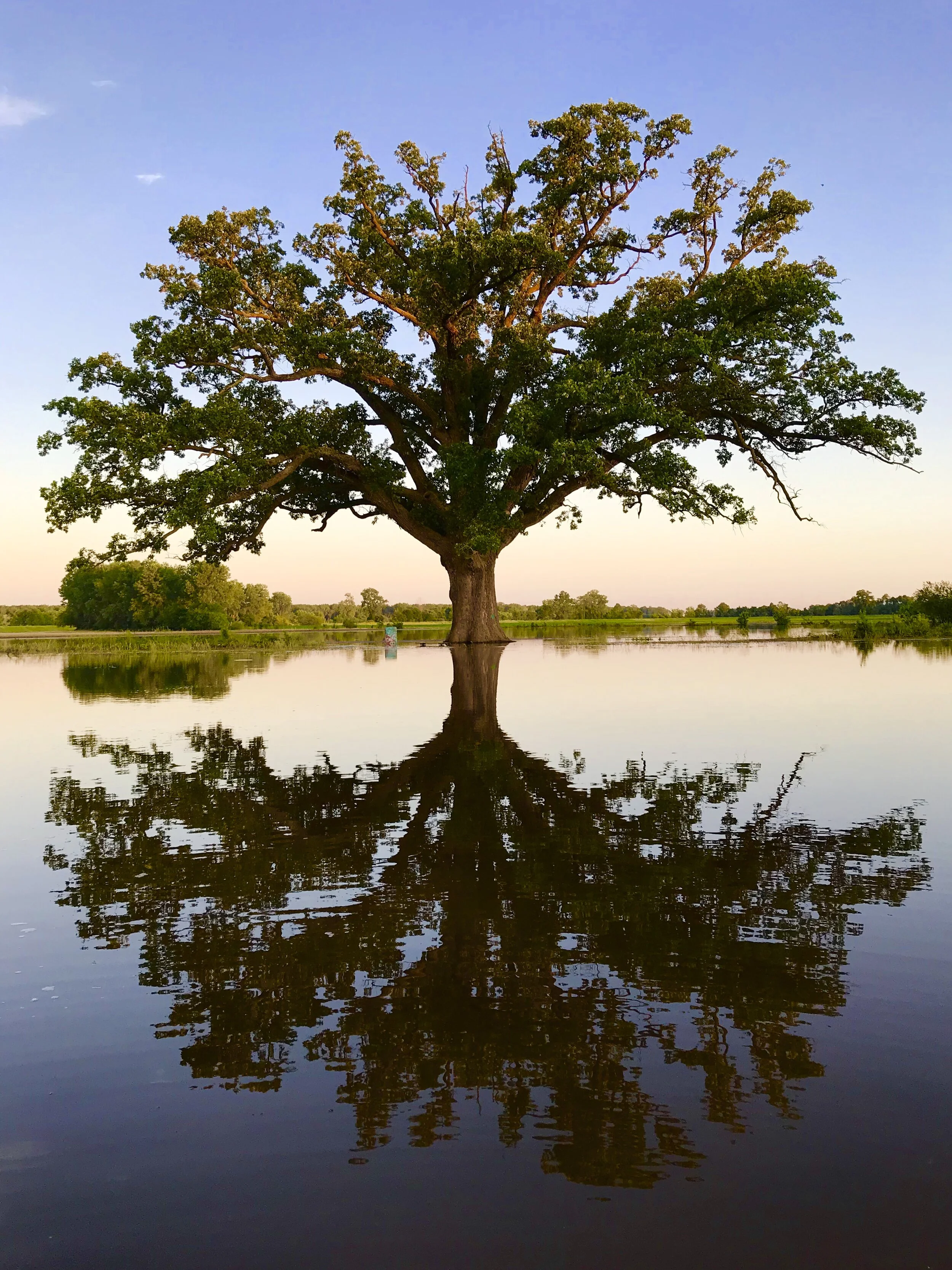 Fellowship in the Flood