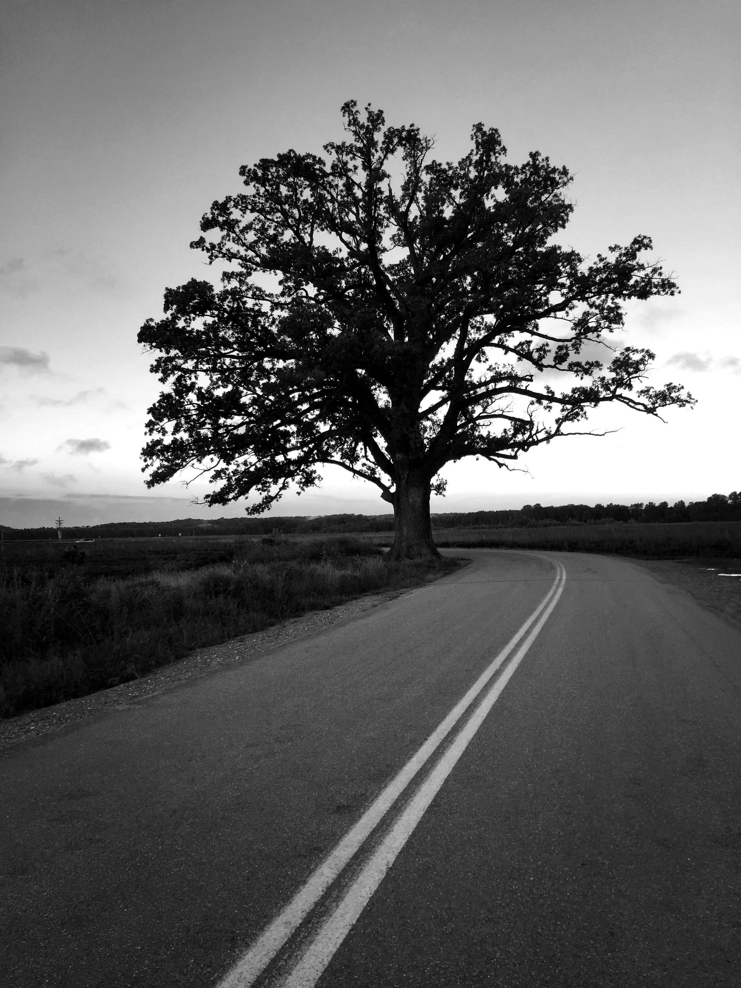 Faith is Taking Back Roads