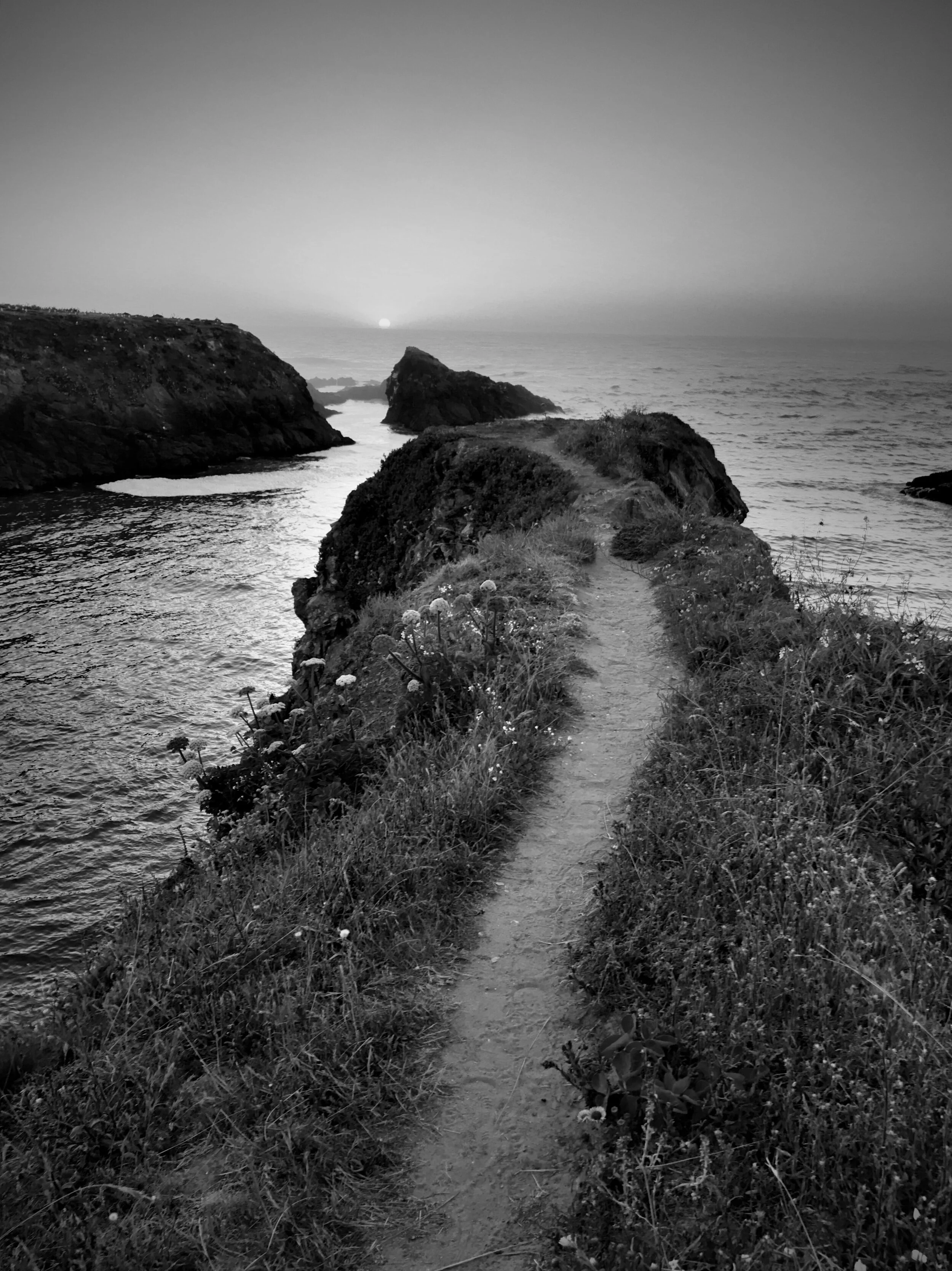 Asking Questions, Seeking Answers