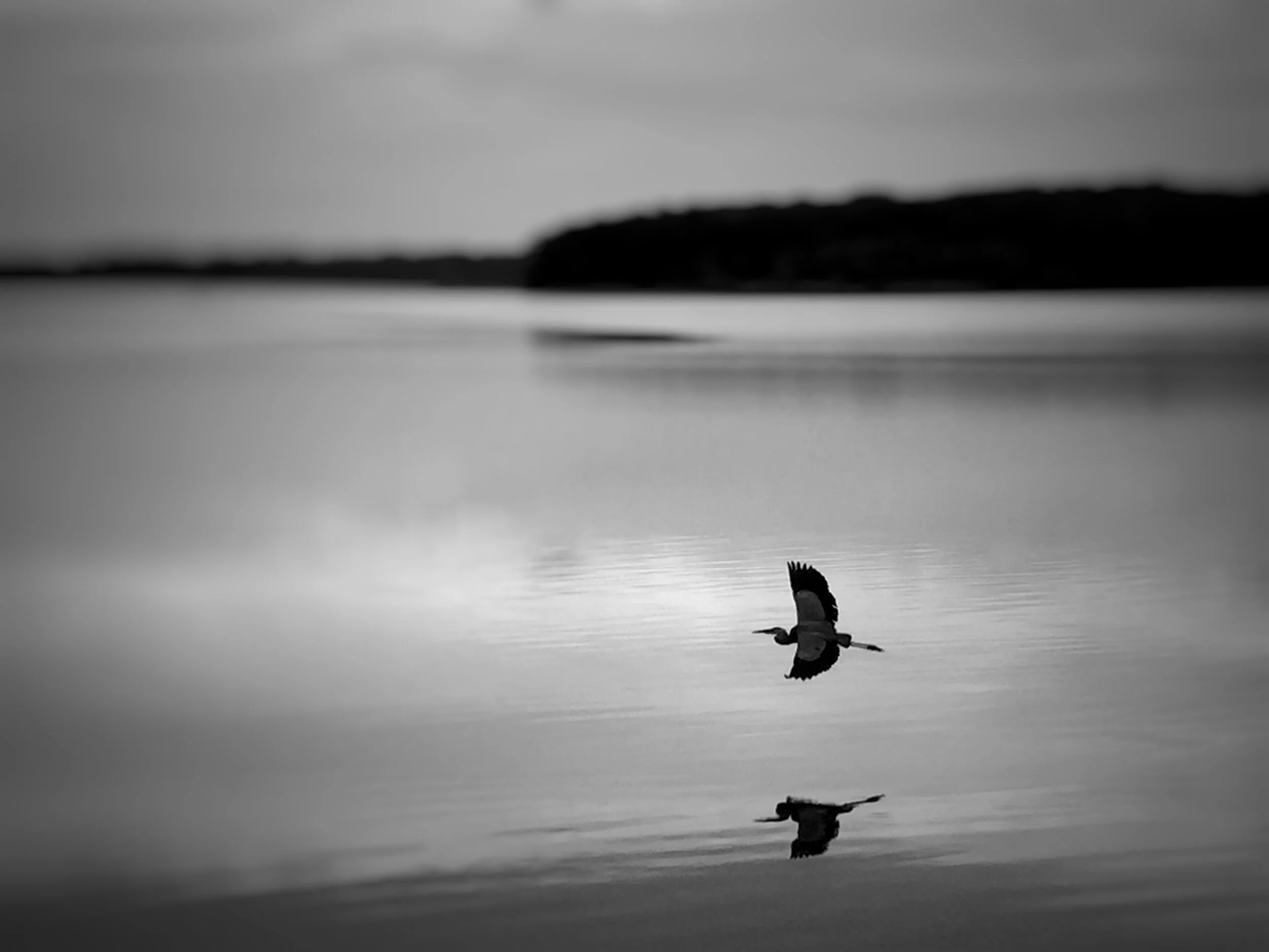 Where Is Your Faith?