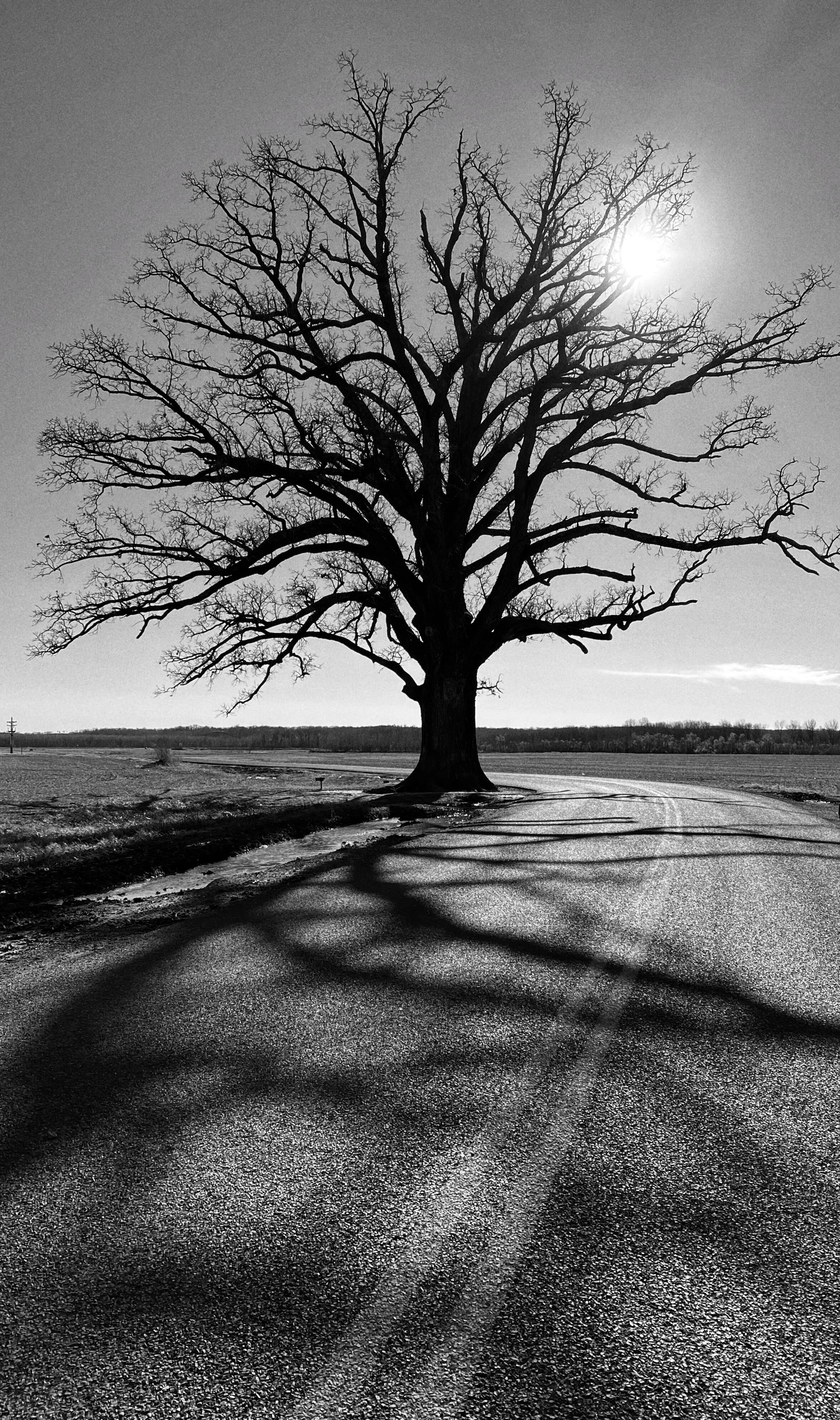 Breaking Bread at a Broken Table