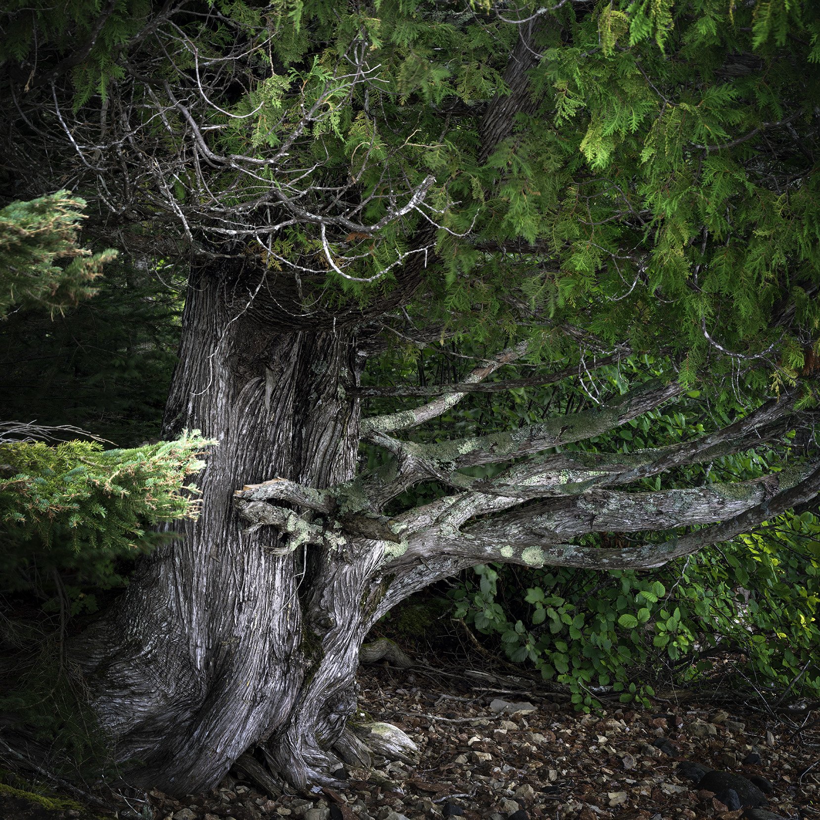 _A7R8730-Pano-Edit.jpg