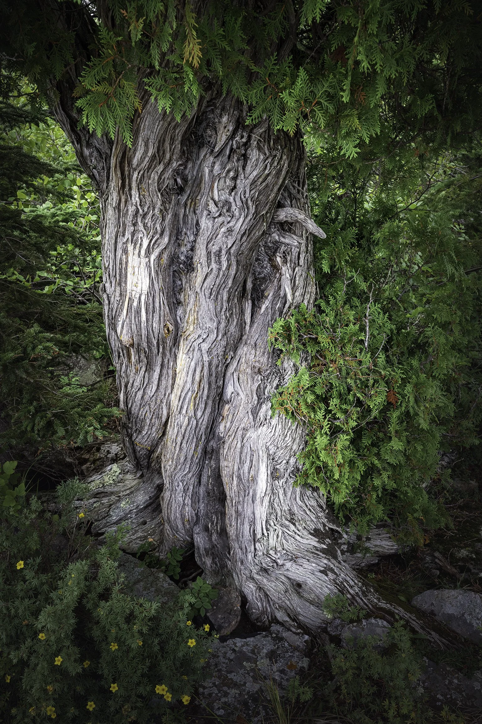 _A7R8643-Edit.jpg