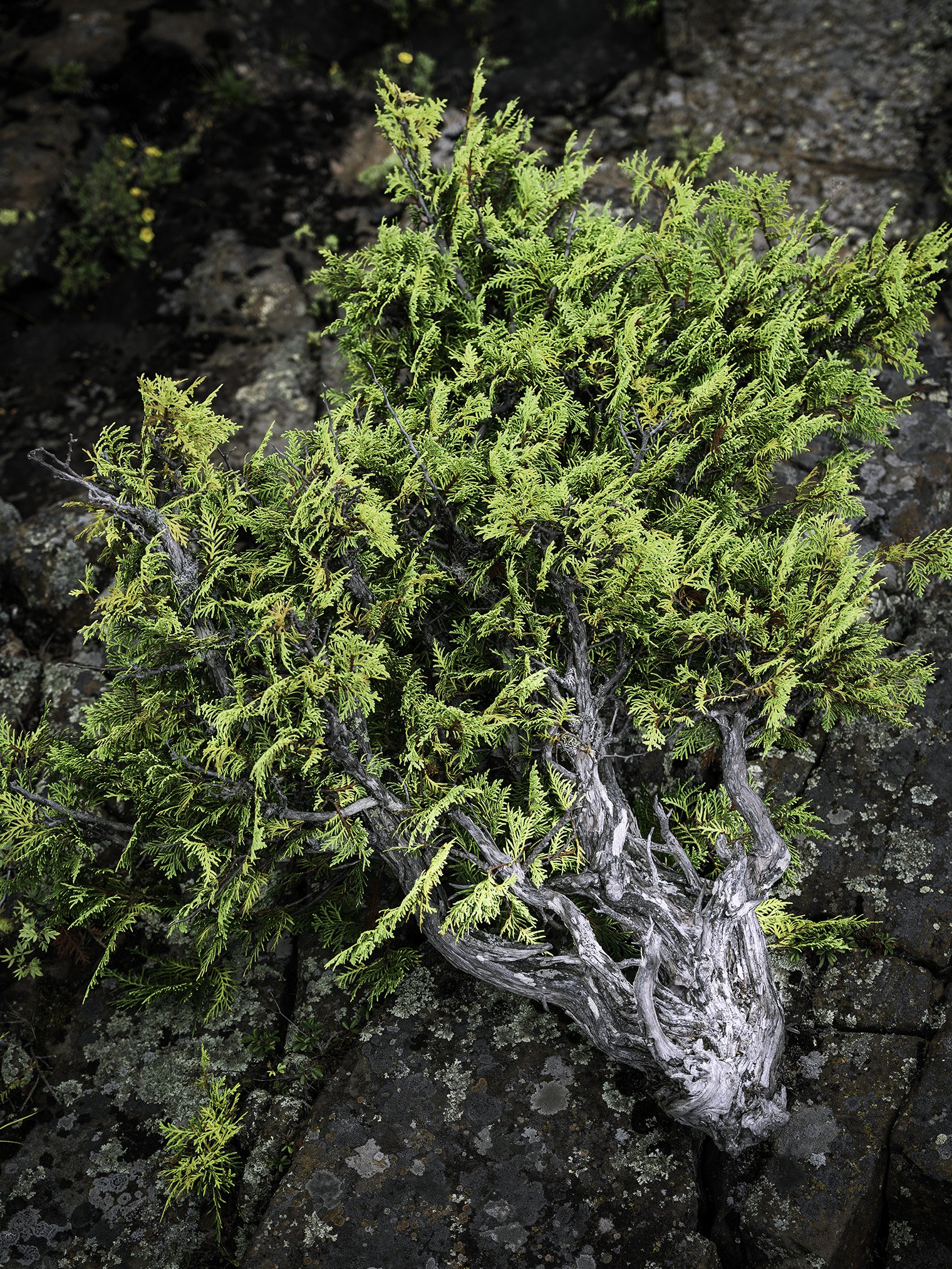 _A7R8639-Edit.jpg