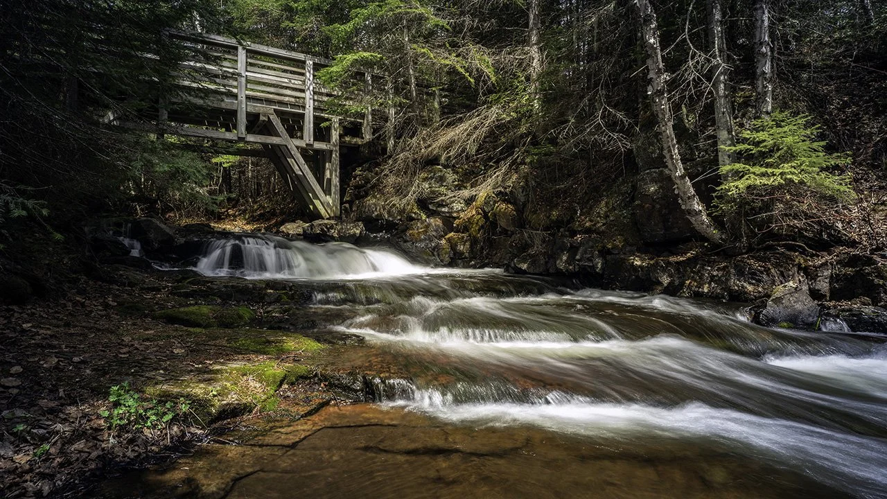 _A7R4076-Edit copy.jpg