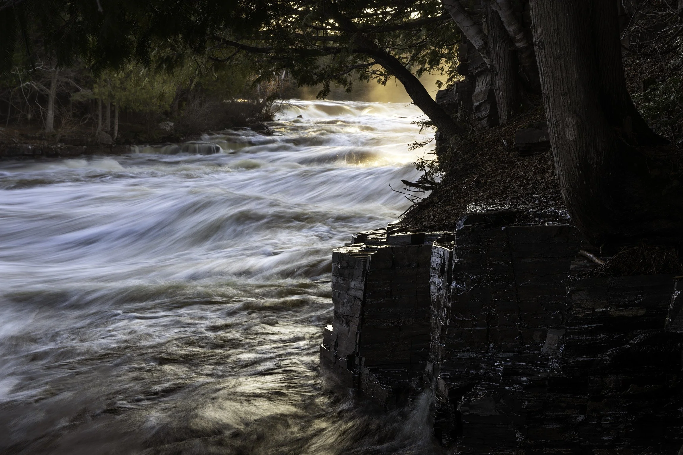 _A7R7398.jpg