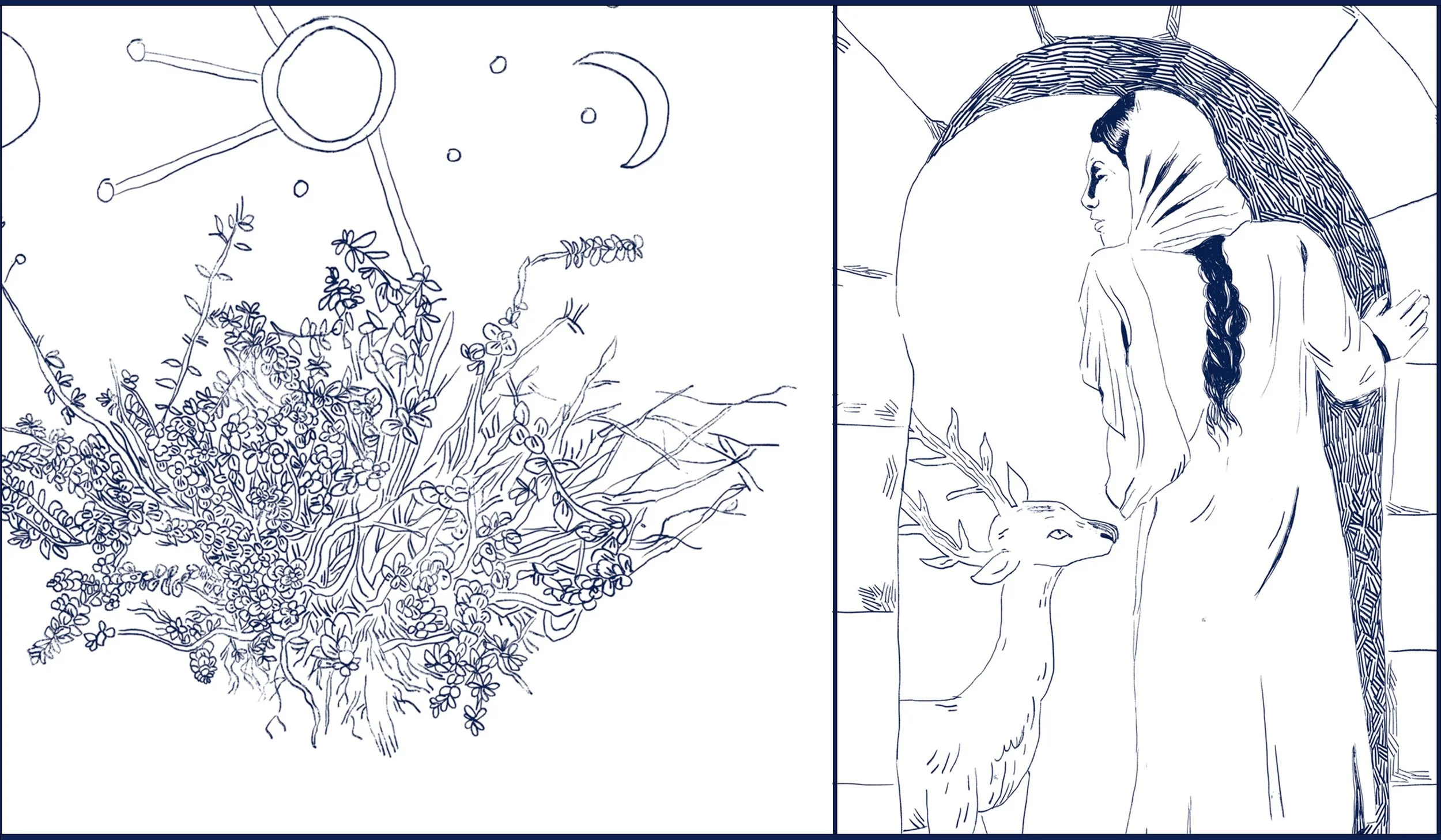 כנרת נעם תקריב מפה לדוגמא.jpg