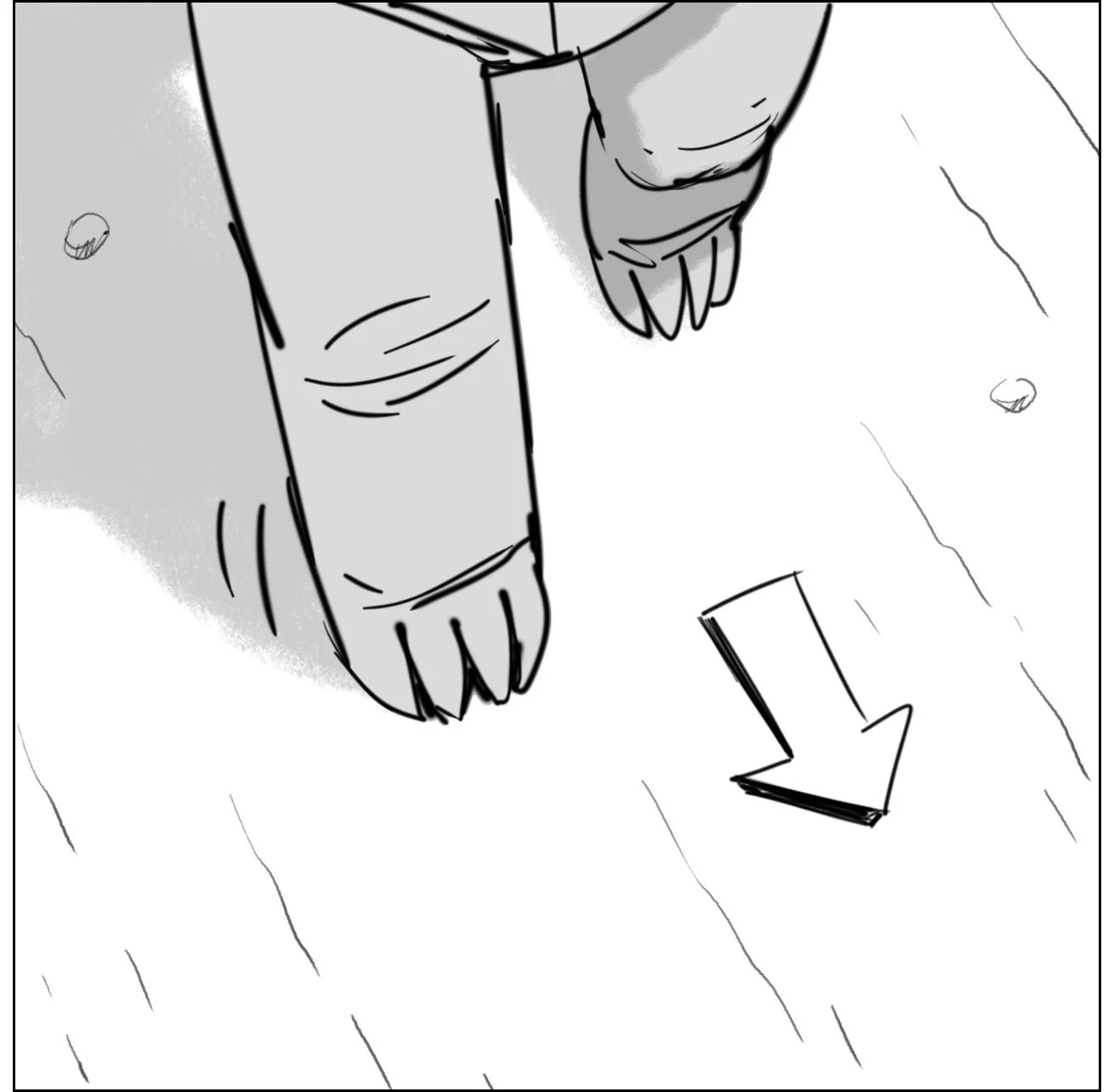 Canvas_Race_22.jpg