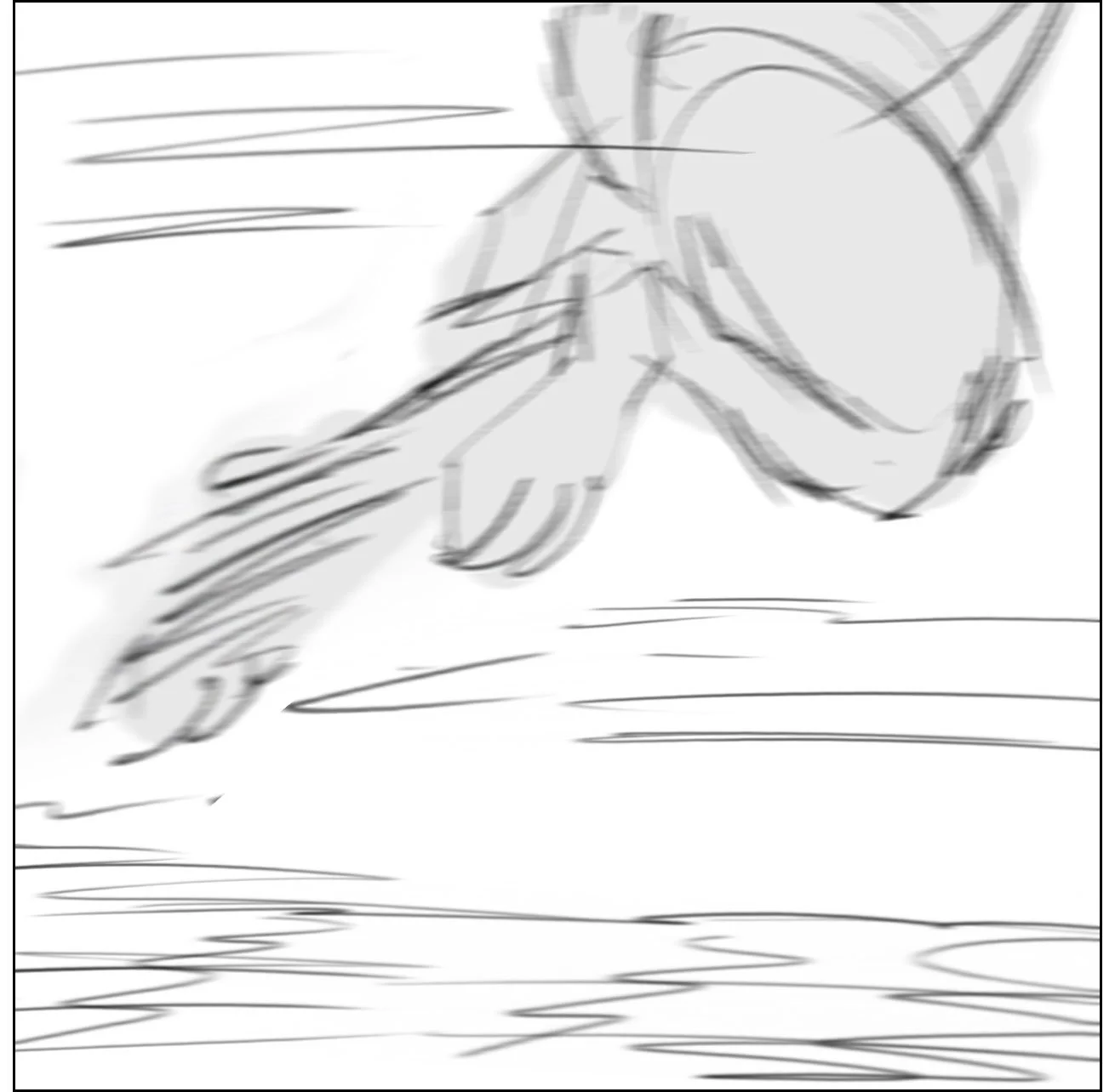 Canvas_Race_25.jpg