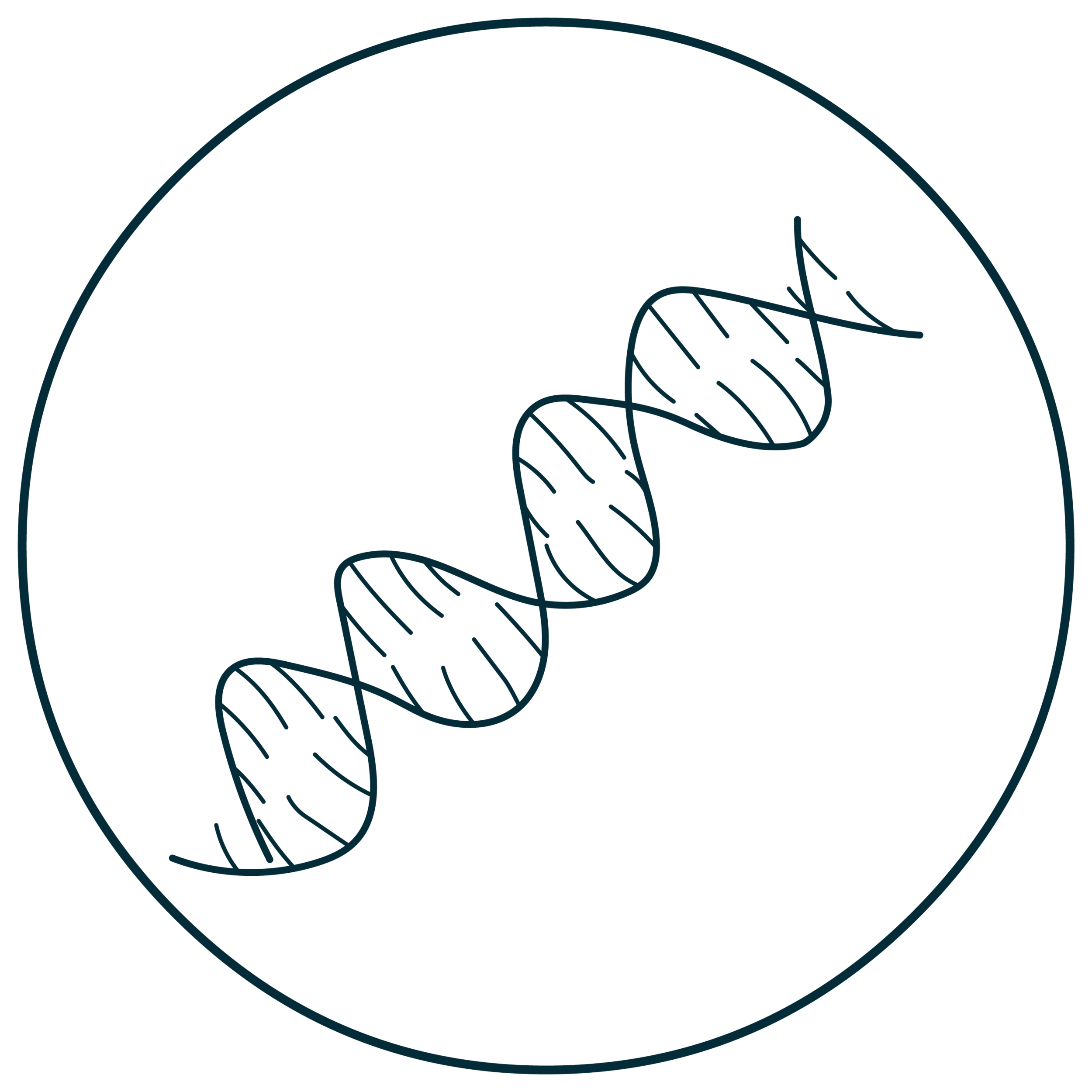 Intent - DNA - Blue 1 - Very Dark Blue - Outline.png