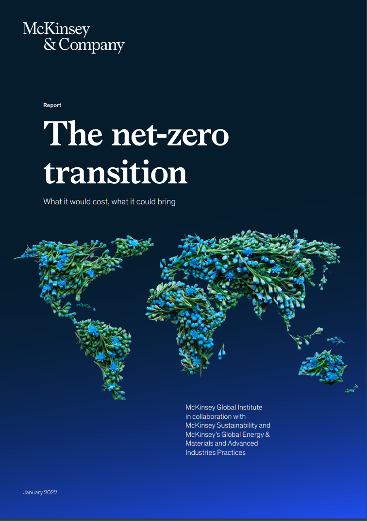 THE NET-ZERO TRANSITION: WHAT IT WOULD COST, WHAT IT COULD BRING