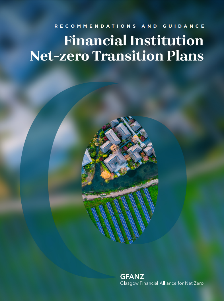 RECOMMENDATIONS AND GUIDANCE: FINANCIAL INSTITUTION NET ZERO PLANS