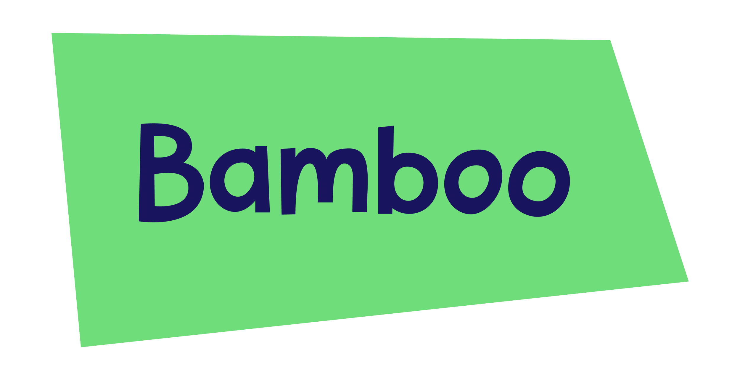 Bamboo_Primary_Badged_300ppi.png