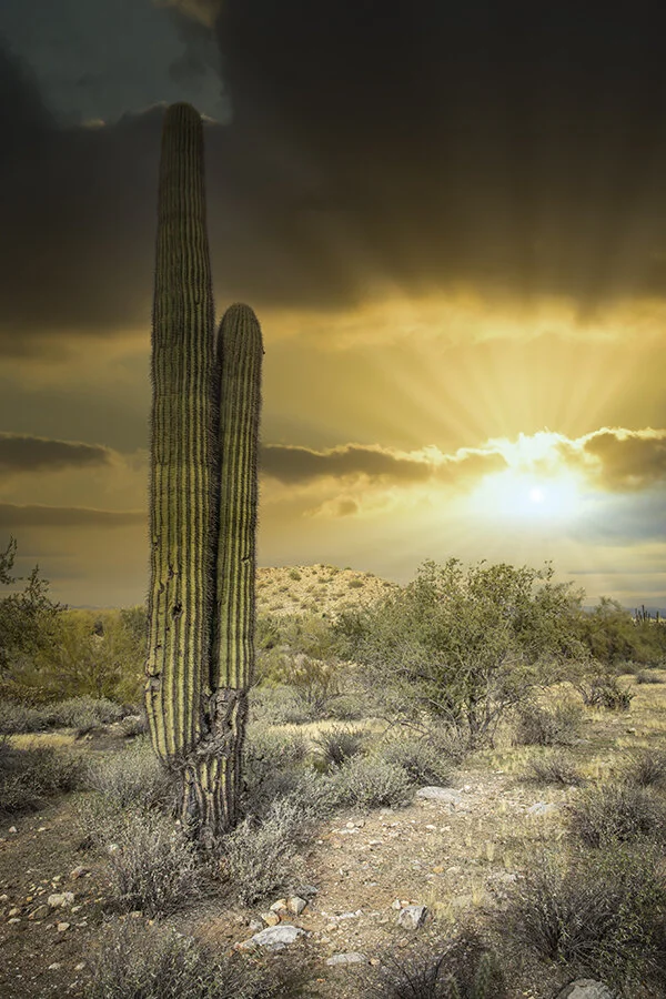 Arizaona Desert Landscape with Sun