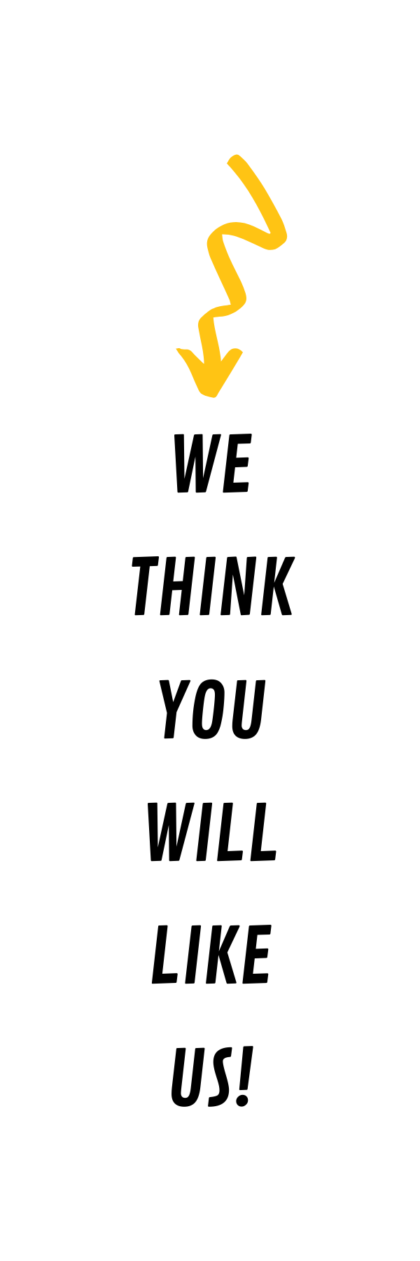 we-think-you-will-like-us.png